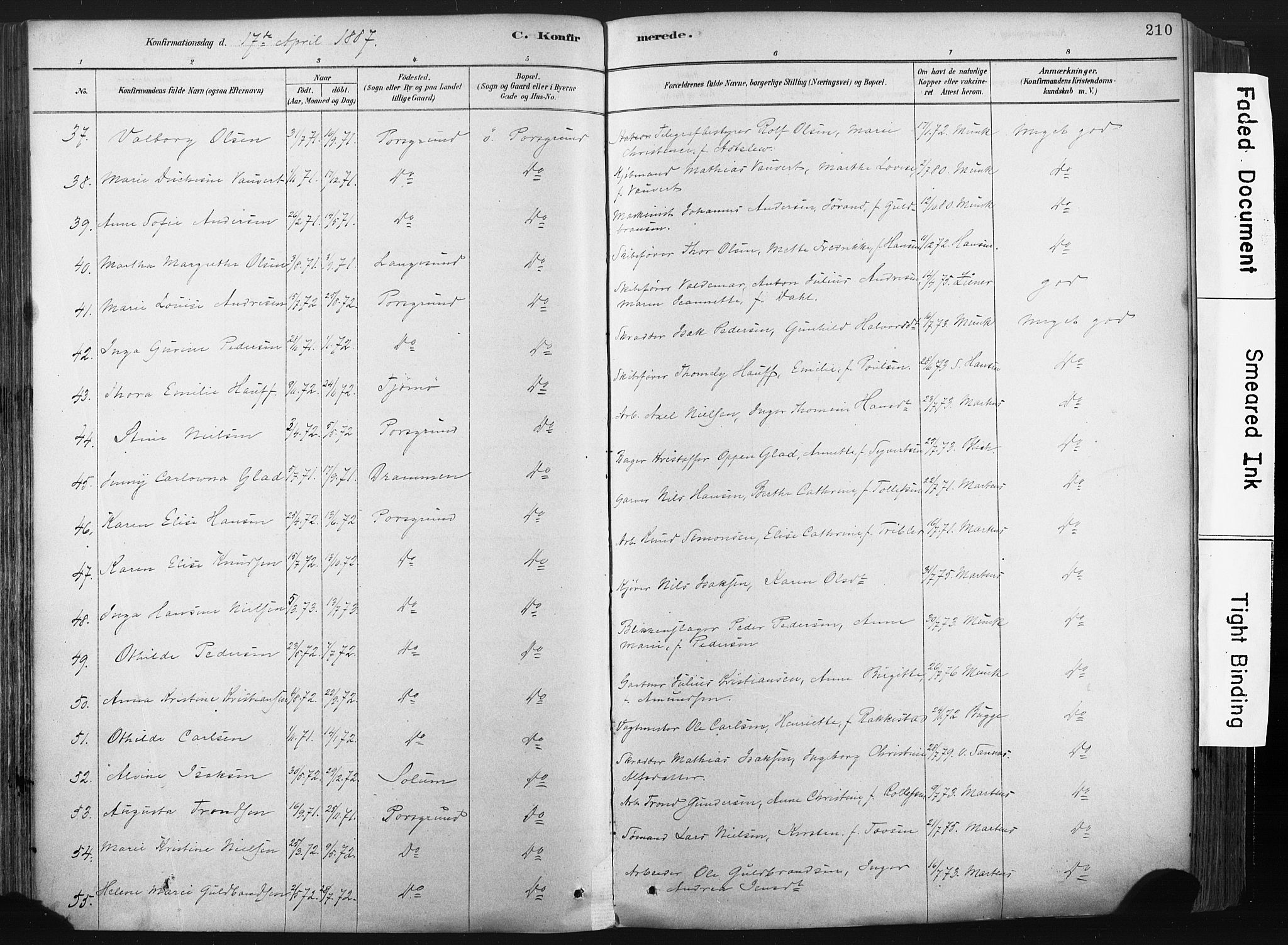 Porsgrunn kirkebøker , AV/SAKO-A-104/F/Fa/L0008: Parish register (official) no. 8, 1878-1895, p. 210