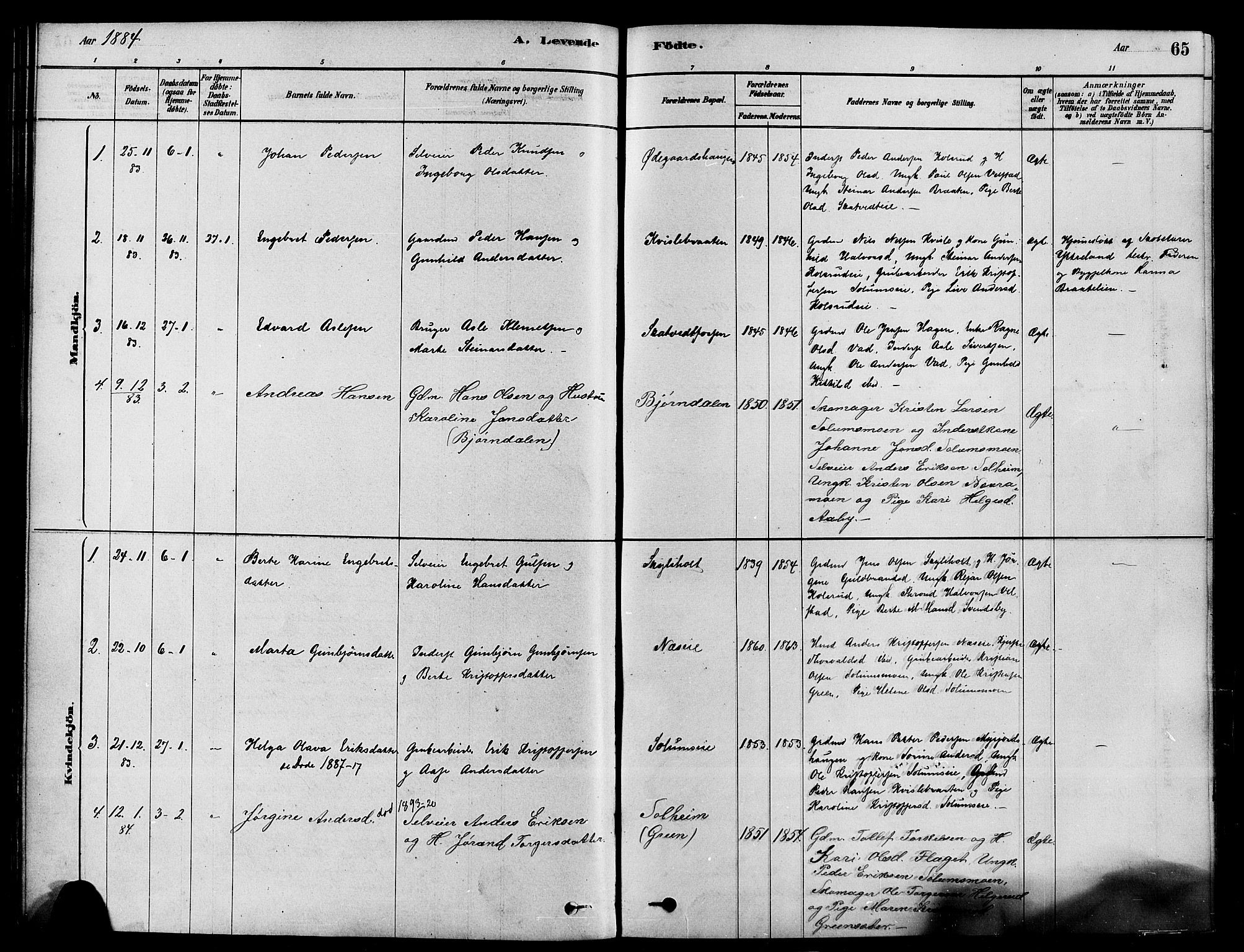 Sigdal kirkebøker, SAKO/A-245/F/Fa/L0011: Parish register (official) no. I 11, 1879-1887, p. 65