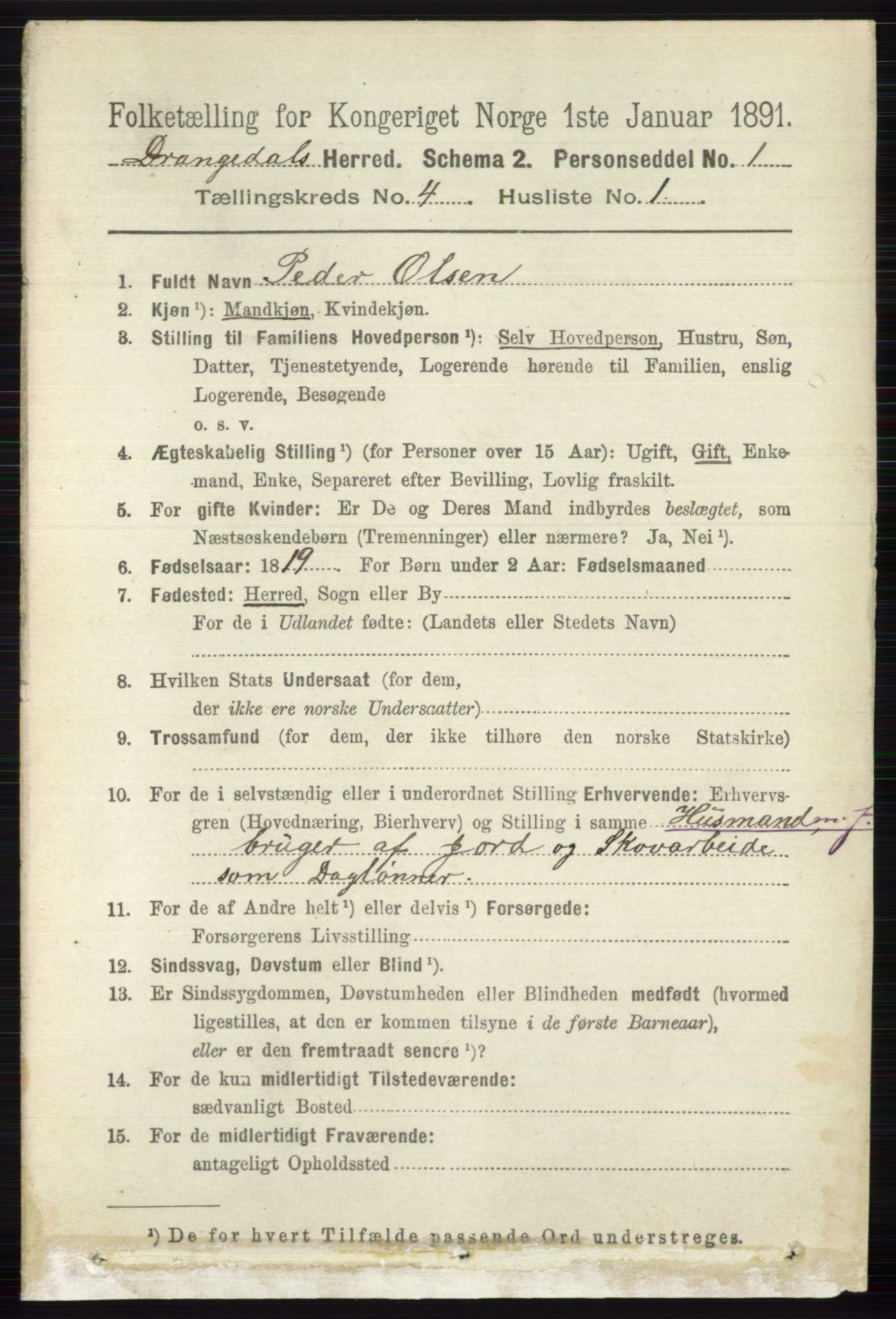 RA, 1891 census for 0817 Drangedal, 1891, p. 1295