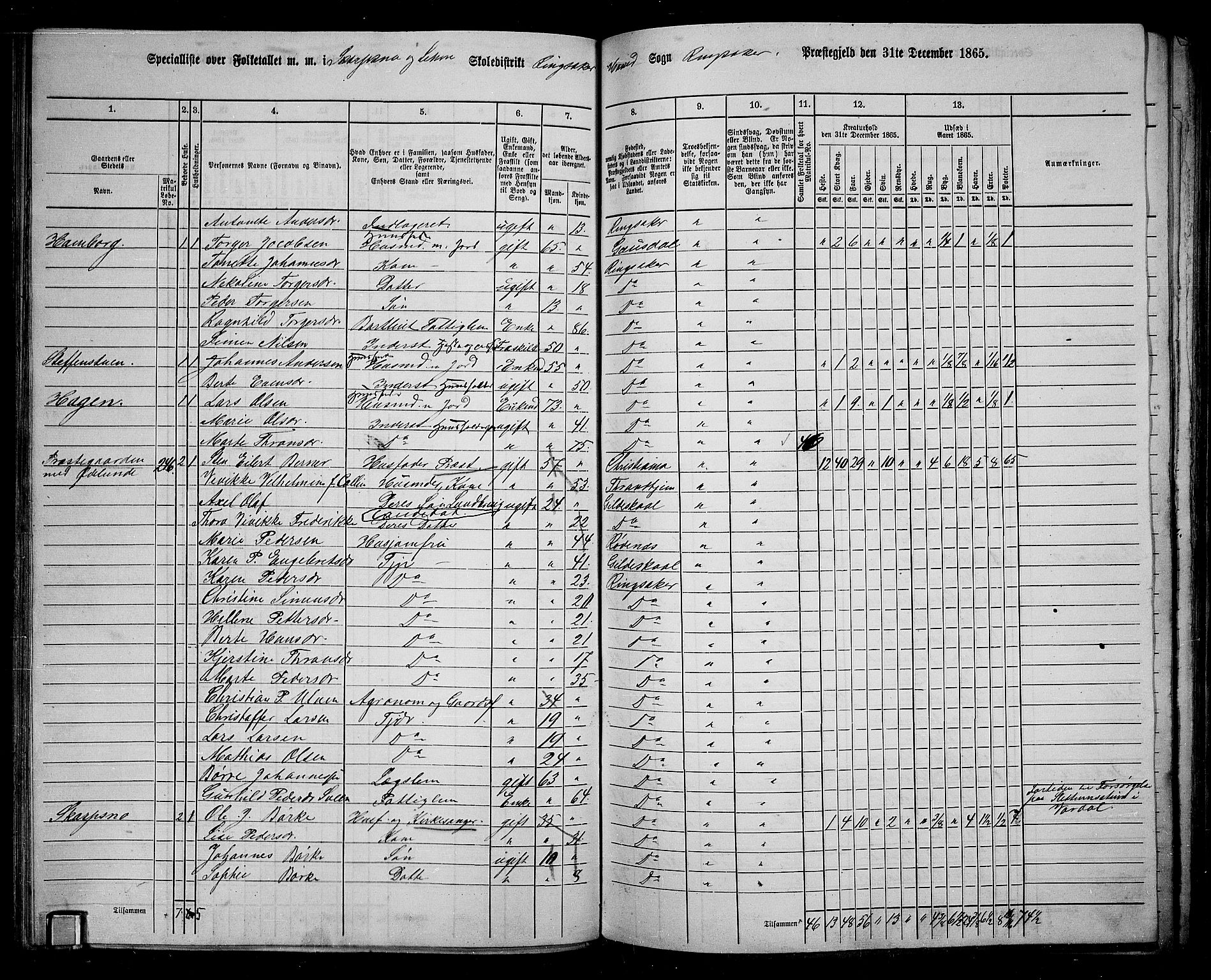 RA, 1865 census for Ringsaker, 1865, p. 135