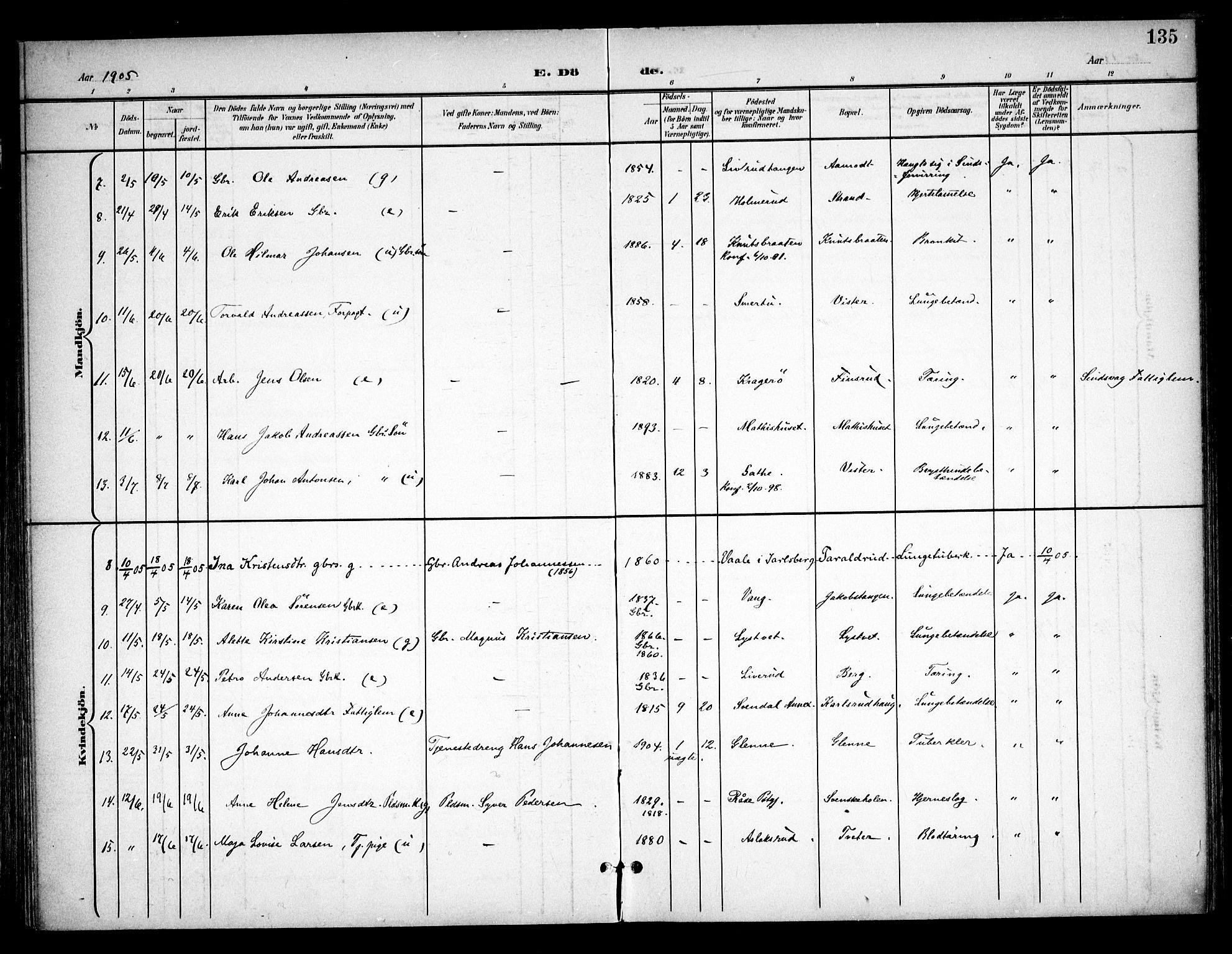 Skiptvet prestekontor Kirkebøker, AV/SAO-A-20009/F/Fa/L0011: Parish register (official) no. 11, 1901-1913, p. 135