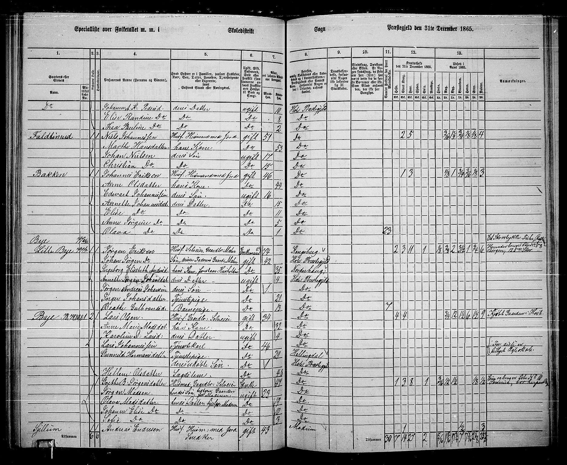 RA, 1865 census for Hole, 1865, p. 99