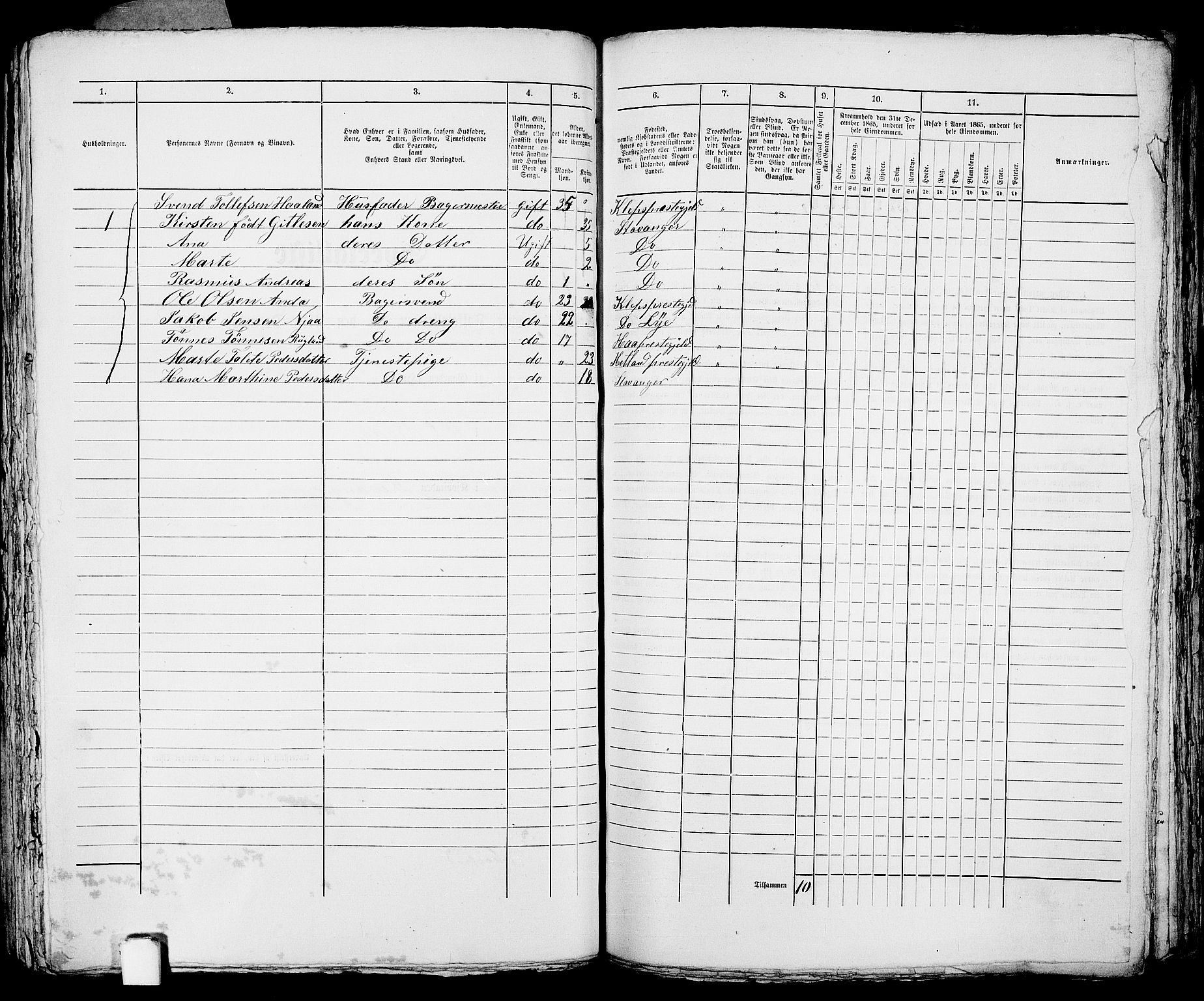 RA, 1865 census for Stavanger, 1865, p. 2733