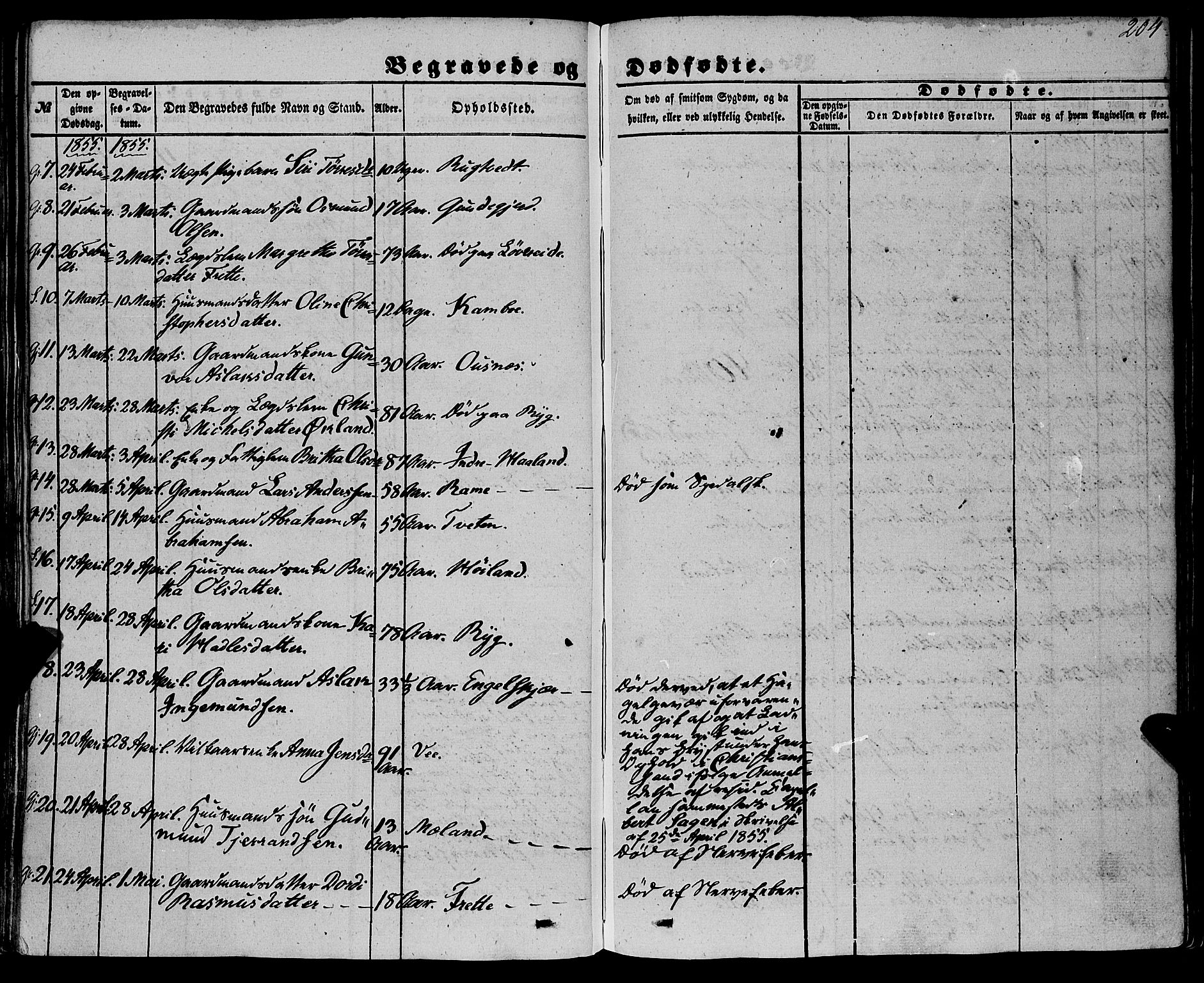 Etne sokneprestembete, SAB/A-75001/H/Haa: Parish register (official) no. A 8, 1848-1862, p. 204