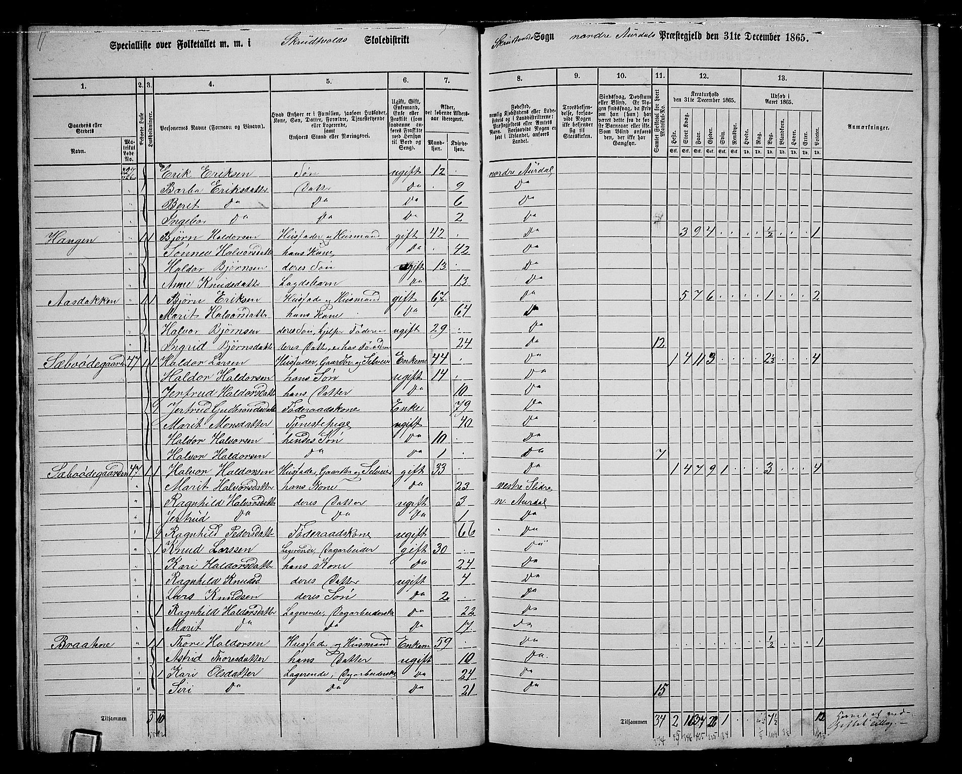 RA, 1865 census for Nord-Aurdal, 1865, p. 23