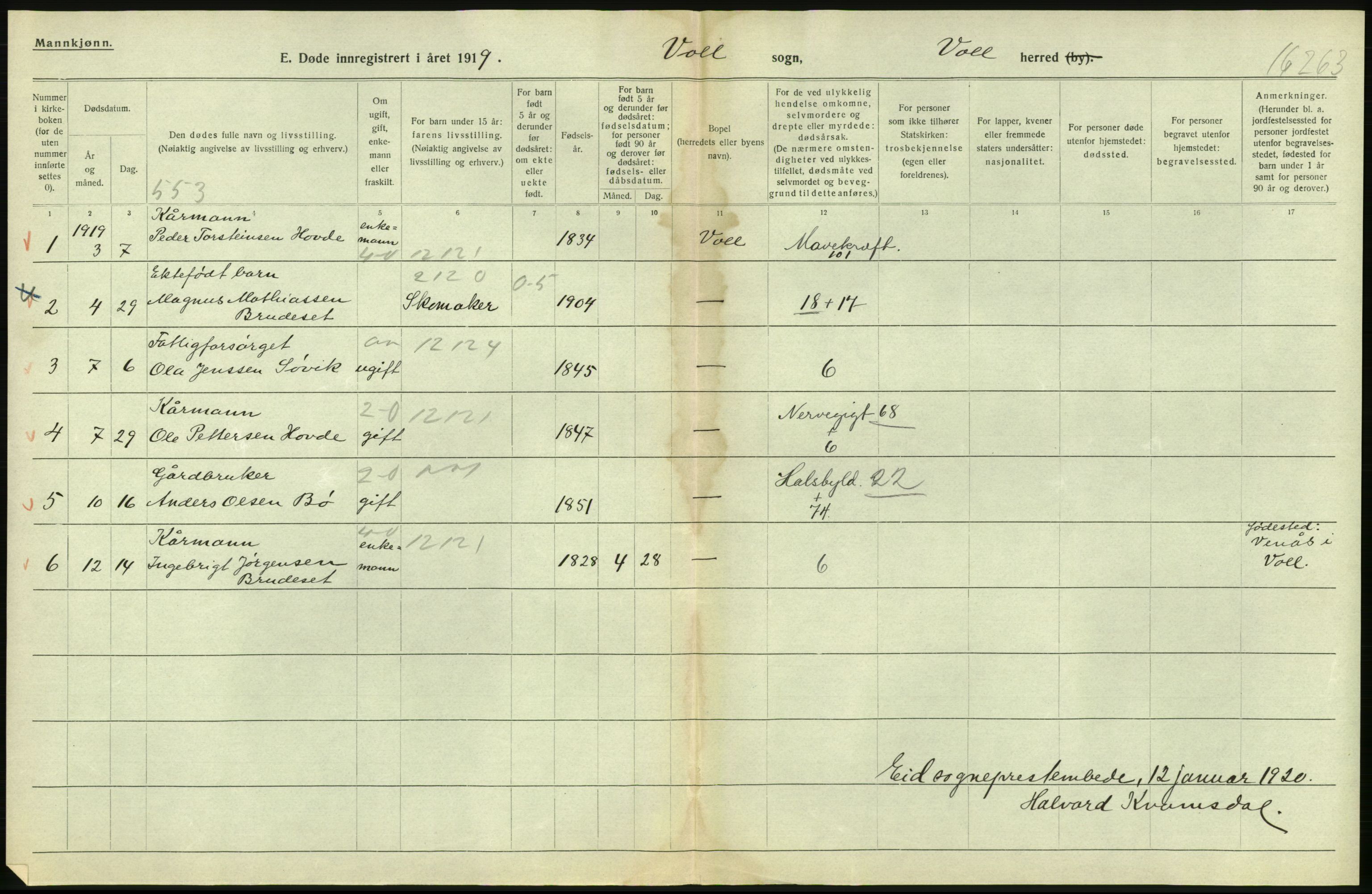 Statistisk sentralbyrå, Sosiodemografiske emner, Befolkning, AV/RA-S-2228/D/Df/Dfb/Dfbi/L0042: Møre fylke: Døde. Bygder og byer., 1919, p. 100