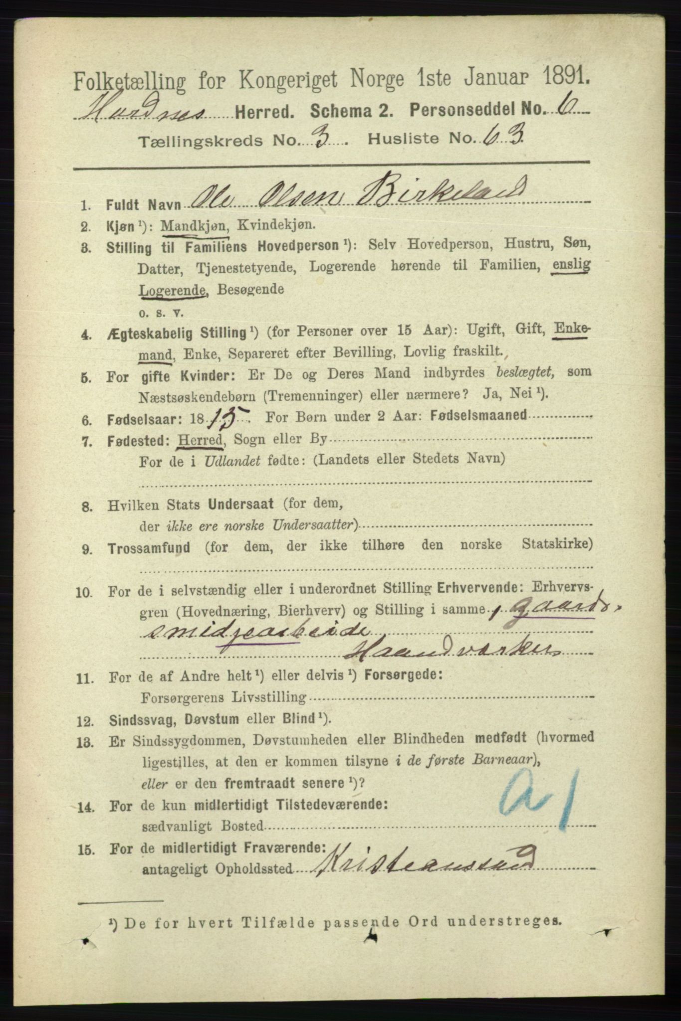 RA, 1891 census for 0936 Hornnes, 1891, p. 1007