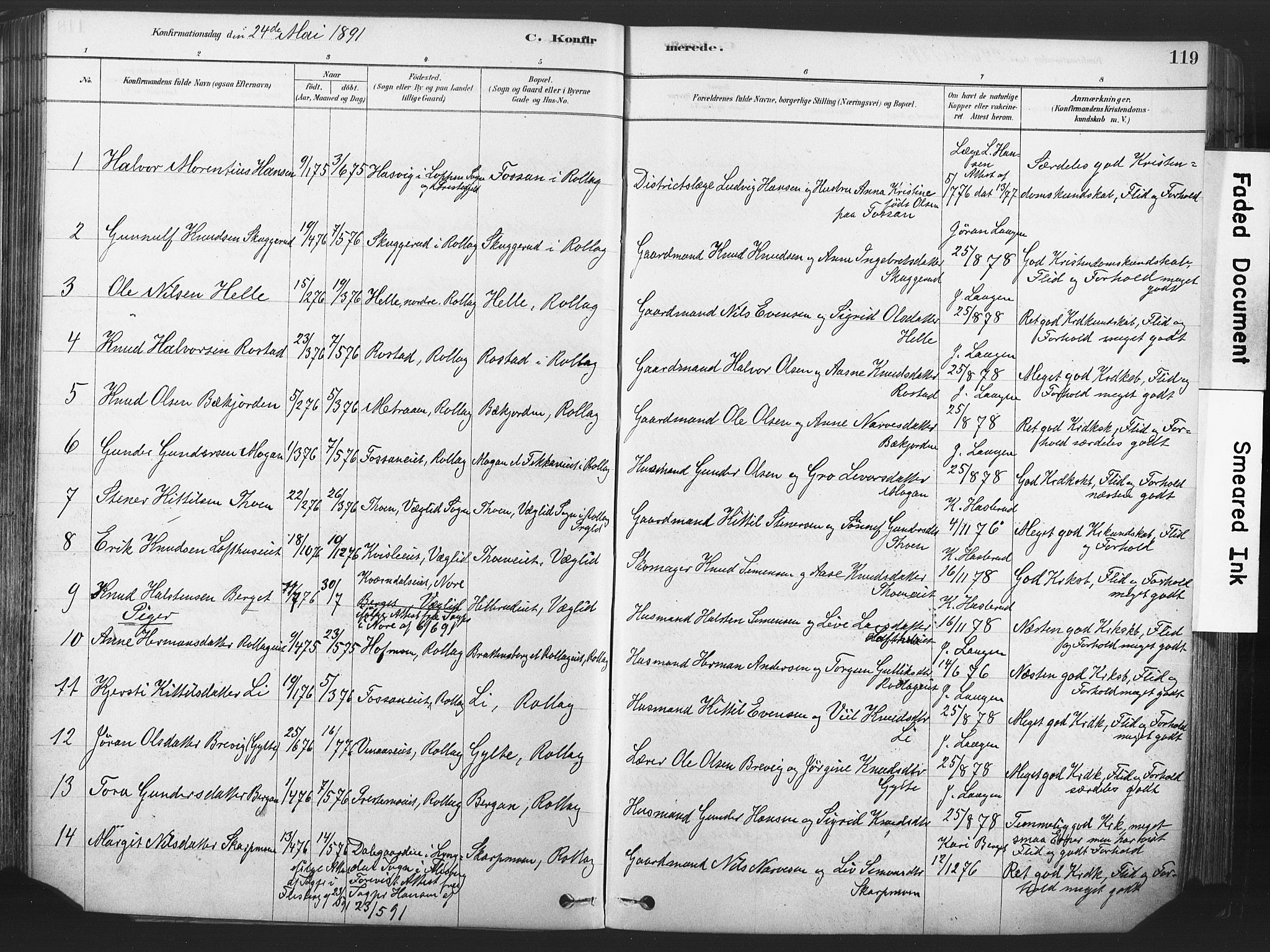 Rollag kirkebøker, SAKO/A-240/F/Fa/L0011: Parish register (official) no. I 11, 1878-1902, p. 119