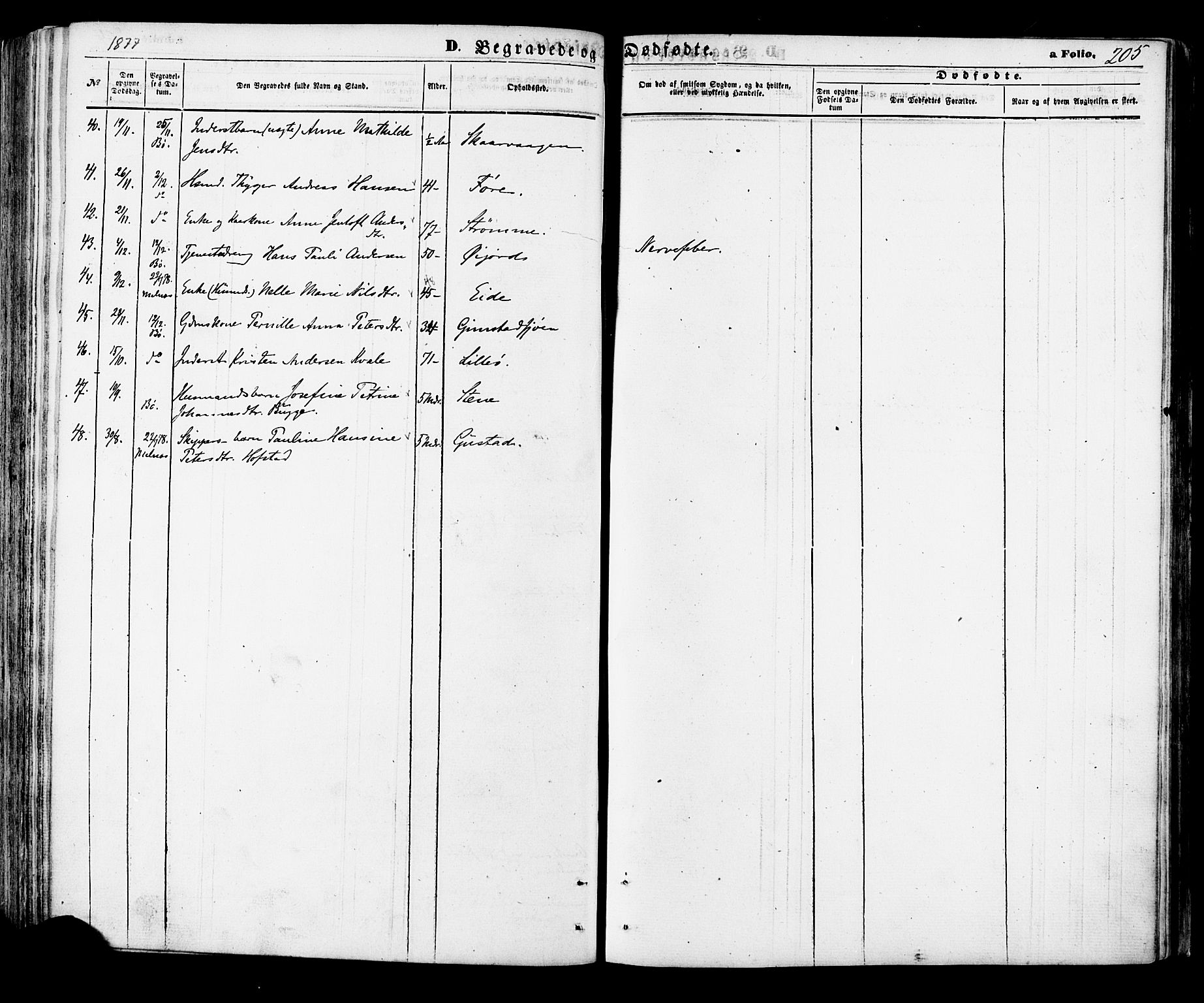 Ministerialprotokoller, klokkerbøker og fødselsregistre - Nordland, AV/SAT-A-1459/891/L1301: Parish register (official) no. 891A06, 1870-1878, p. 205