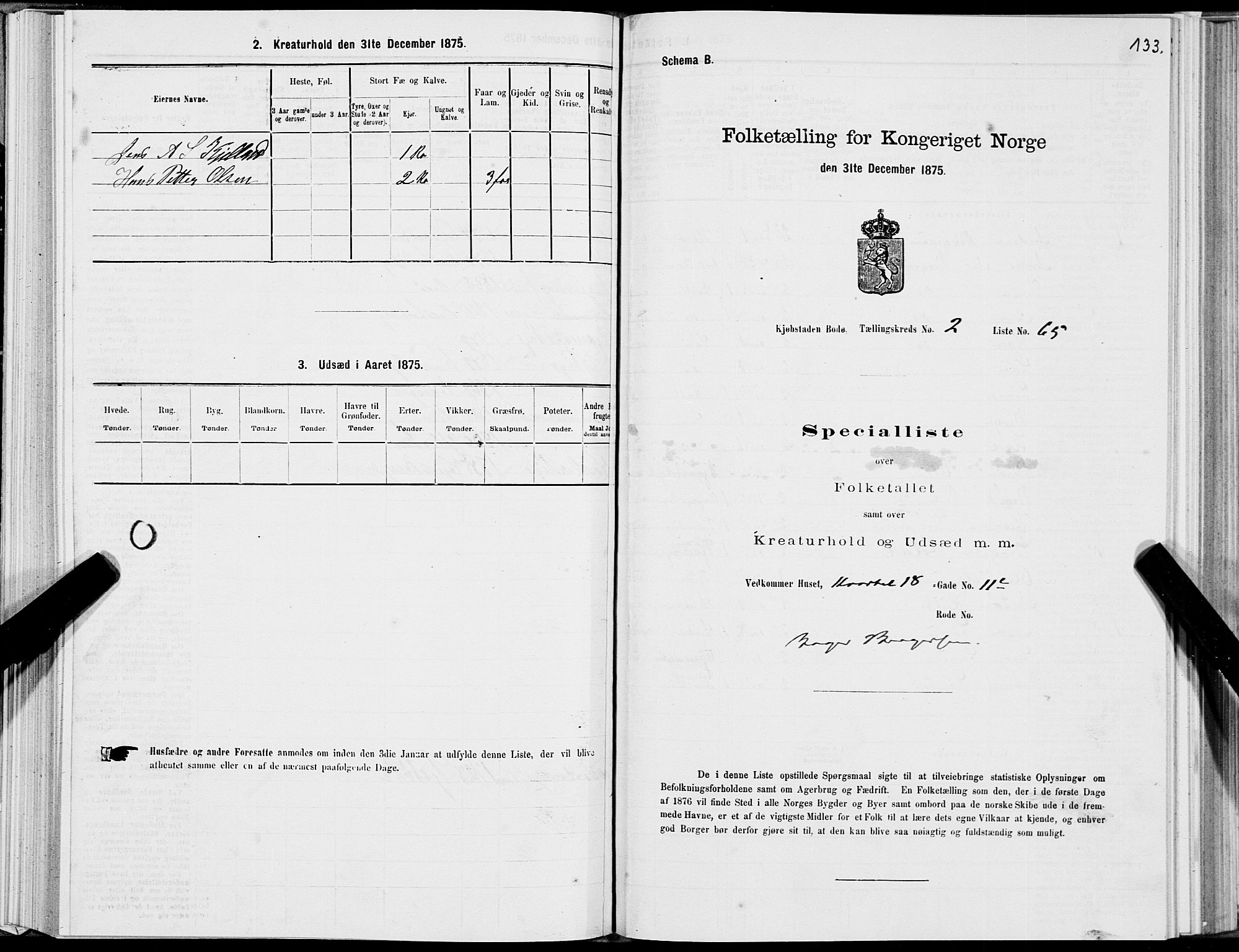 SAT, 1875 census for 1804B Bodø/Bodø, 1875, p. 133