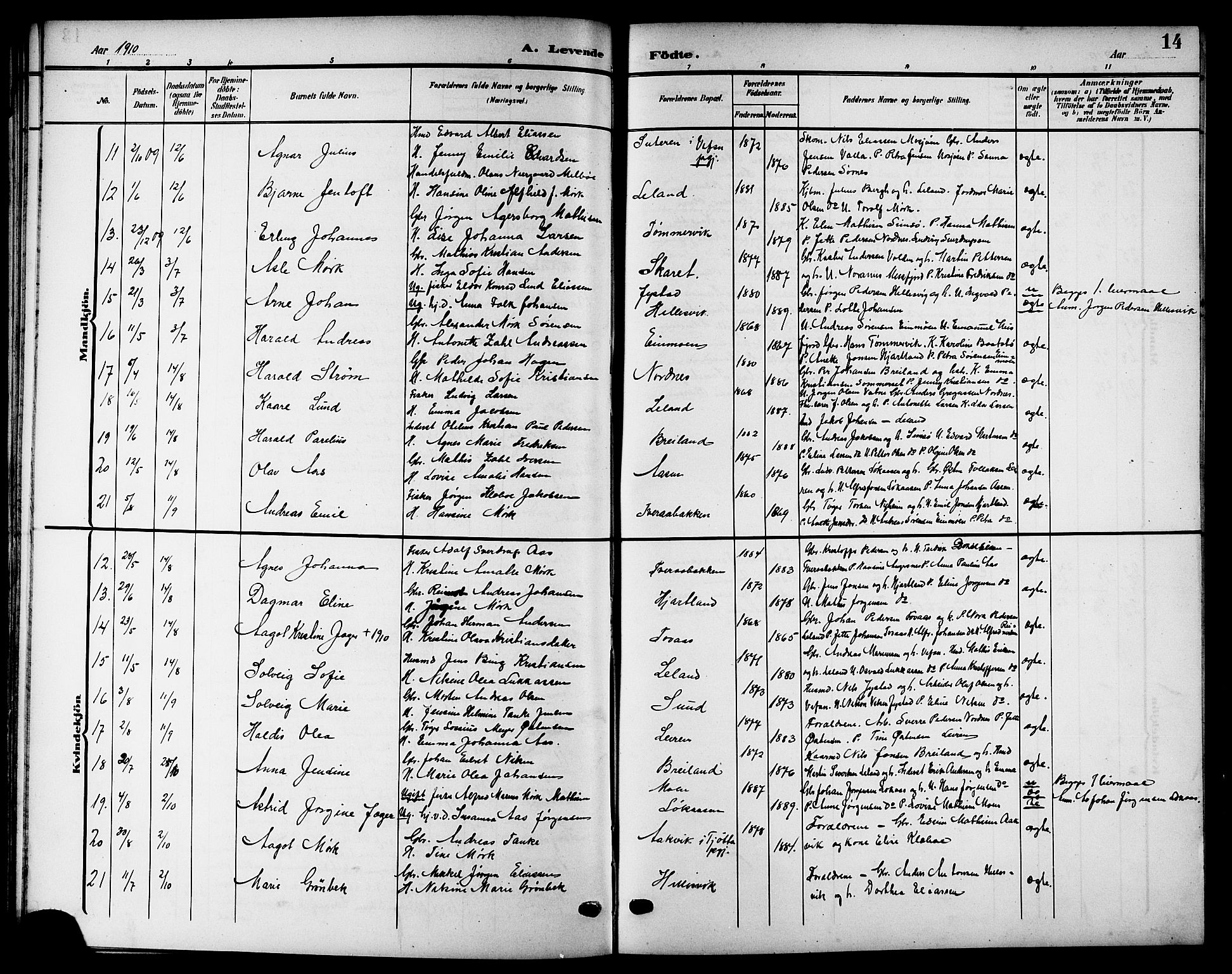 Ministerialprotokoller, klokkerbøker og fødselsregistre - Nordland, AV/SAT-A-1459/832/L0494: Parish register (copy) no. 832C01, 1906-1922, p. 14