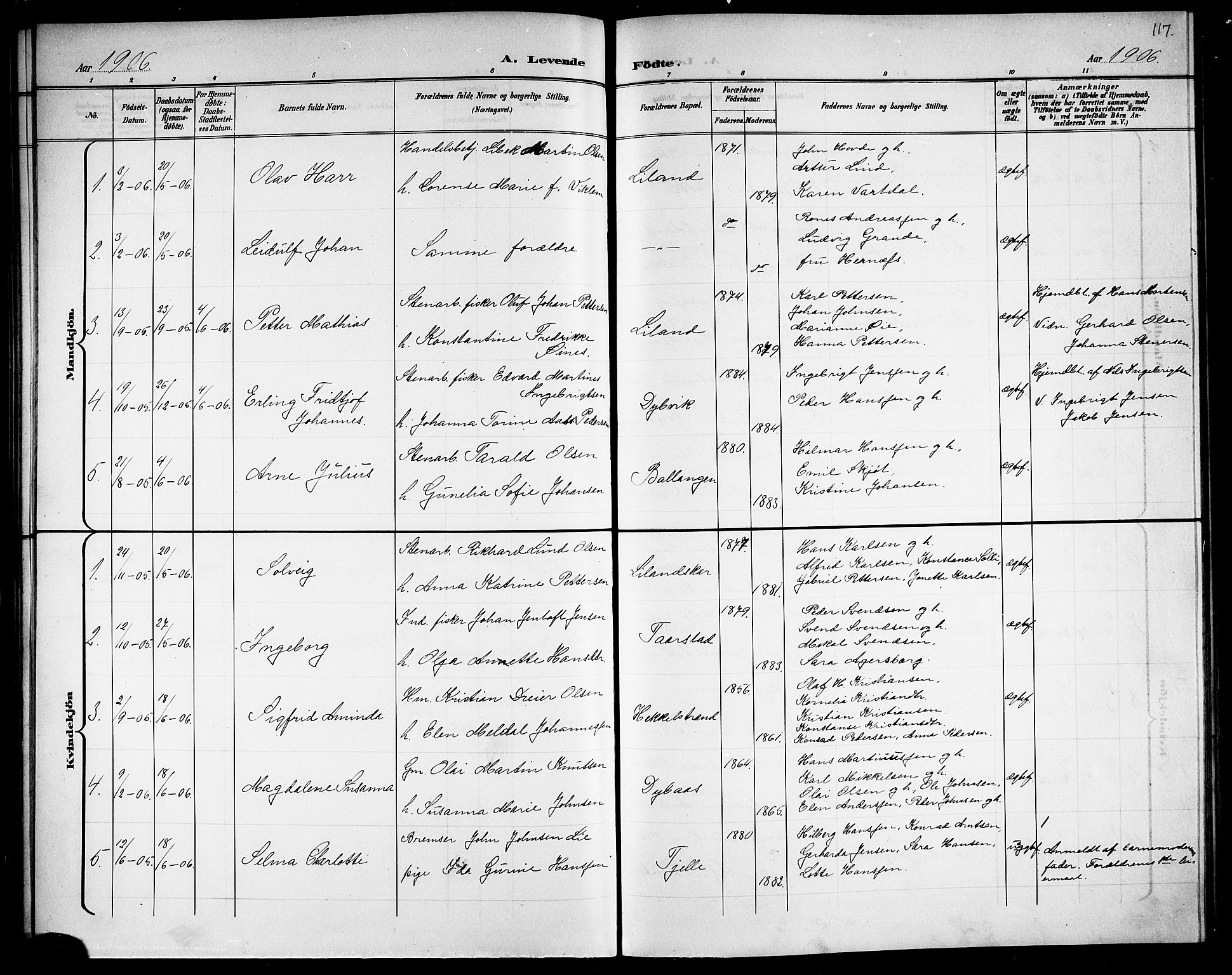 Ministerialprotokoller, klokkerbøker og fødselsregistre - Nordland, AV/SAT-A-1459/863/L0915: Parish register (copy) no. 863C05, 1898-1907, p. 117