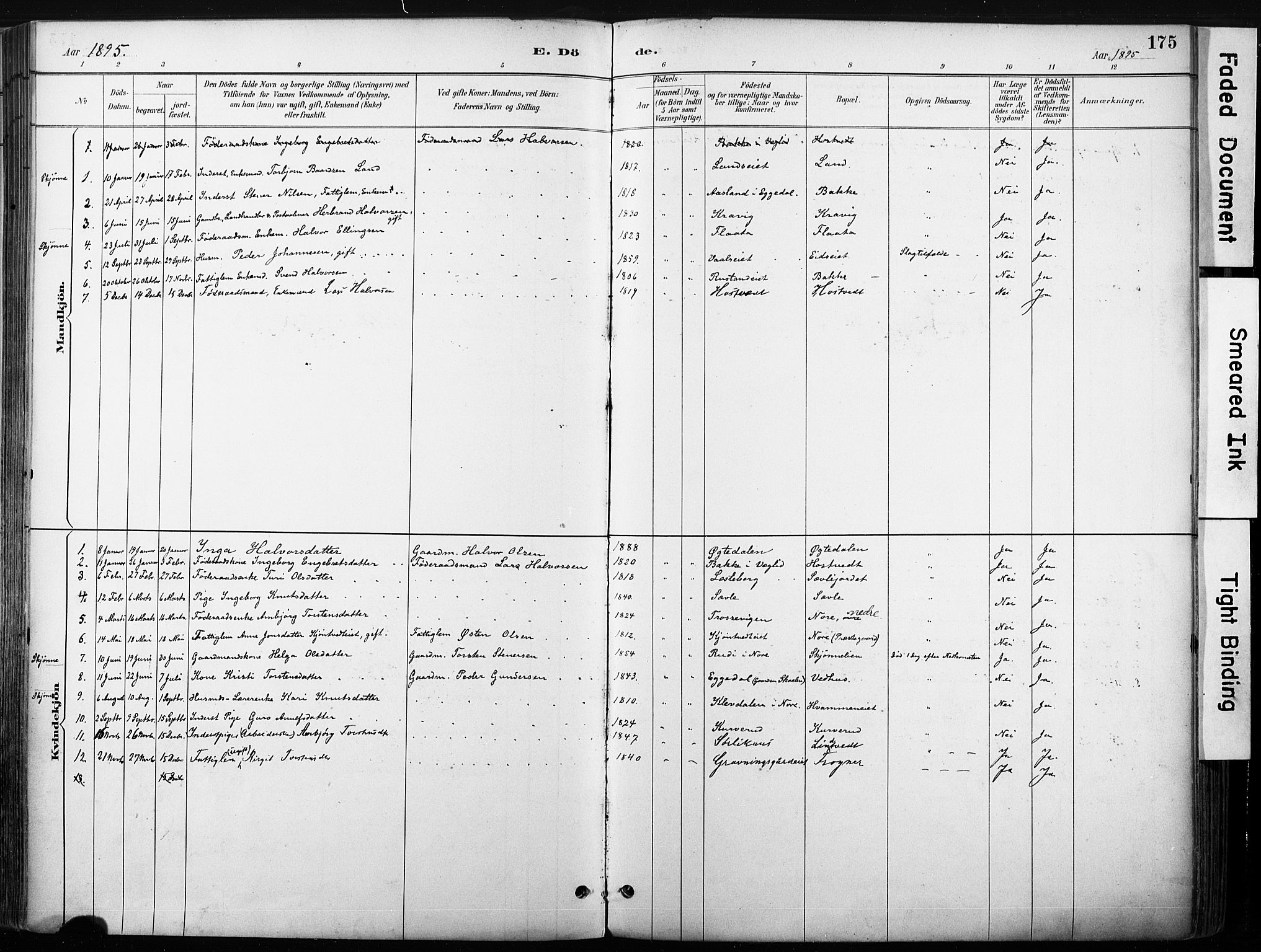 Nore kirkebøker, SAKO/A-238/F/Fb/L0002: Parish register (official) no. II 2, 1886-1906, p. 175