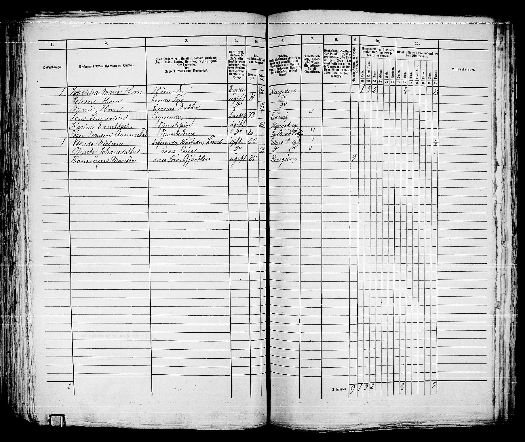 RA, 1865 census for Kongsberg/Kongsberg, 1865, p. 1161