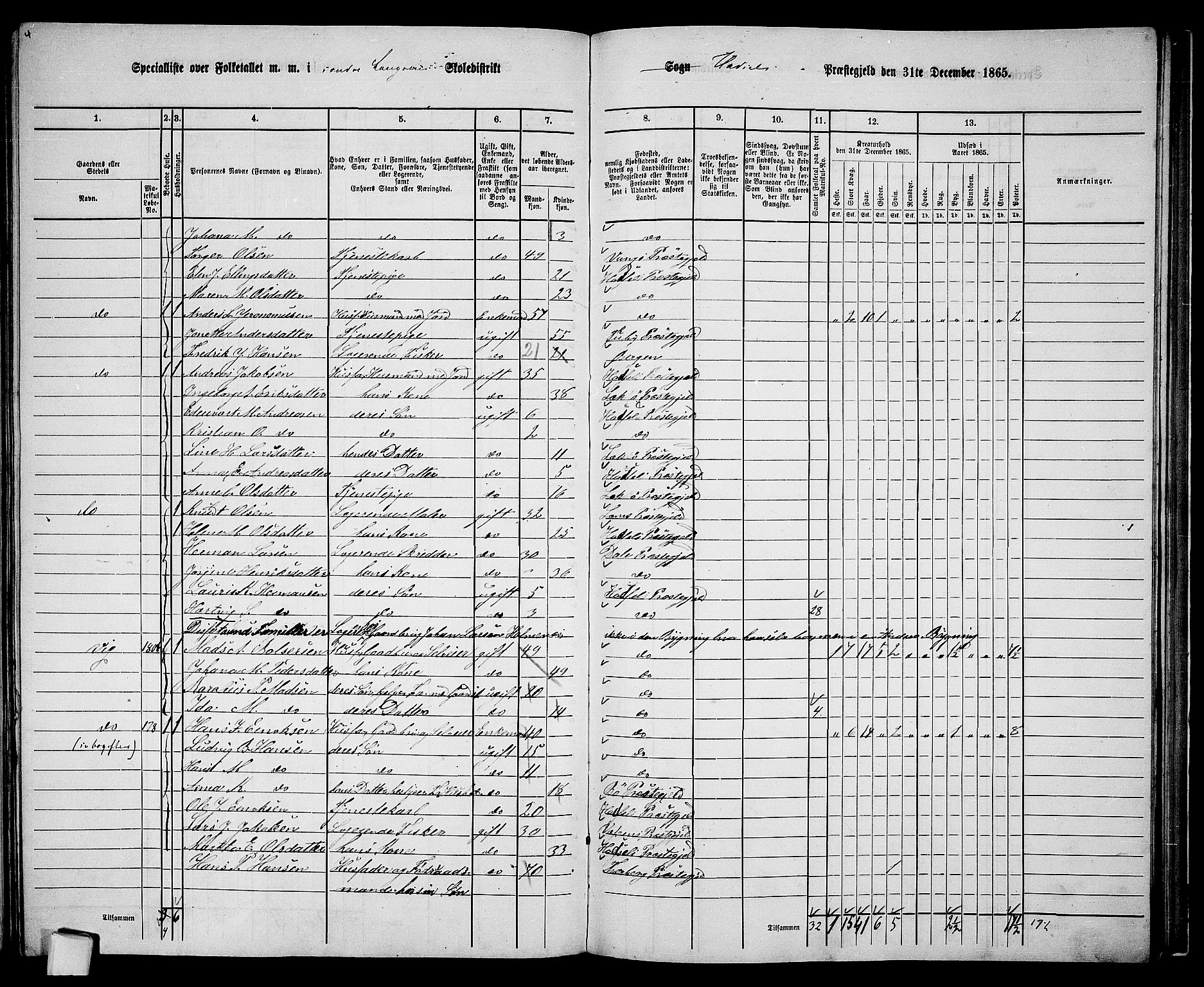 RA, 1865 census for Hadsel, 1865, p. 146