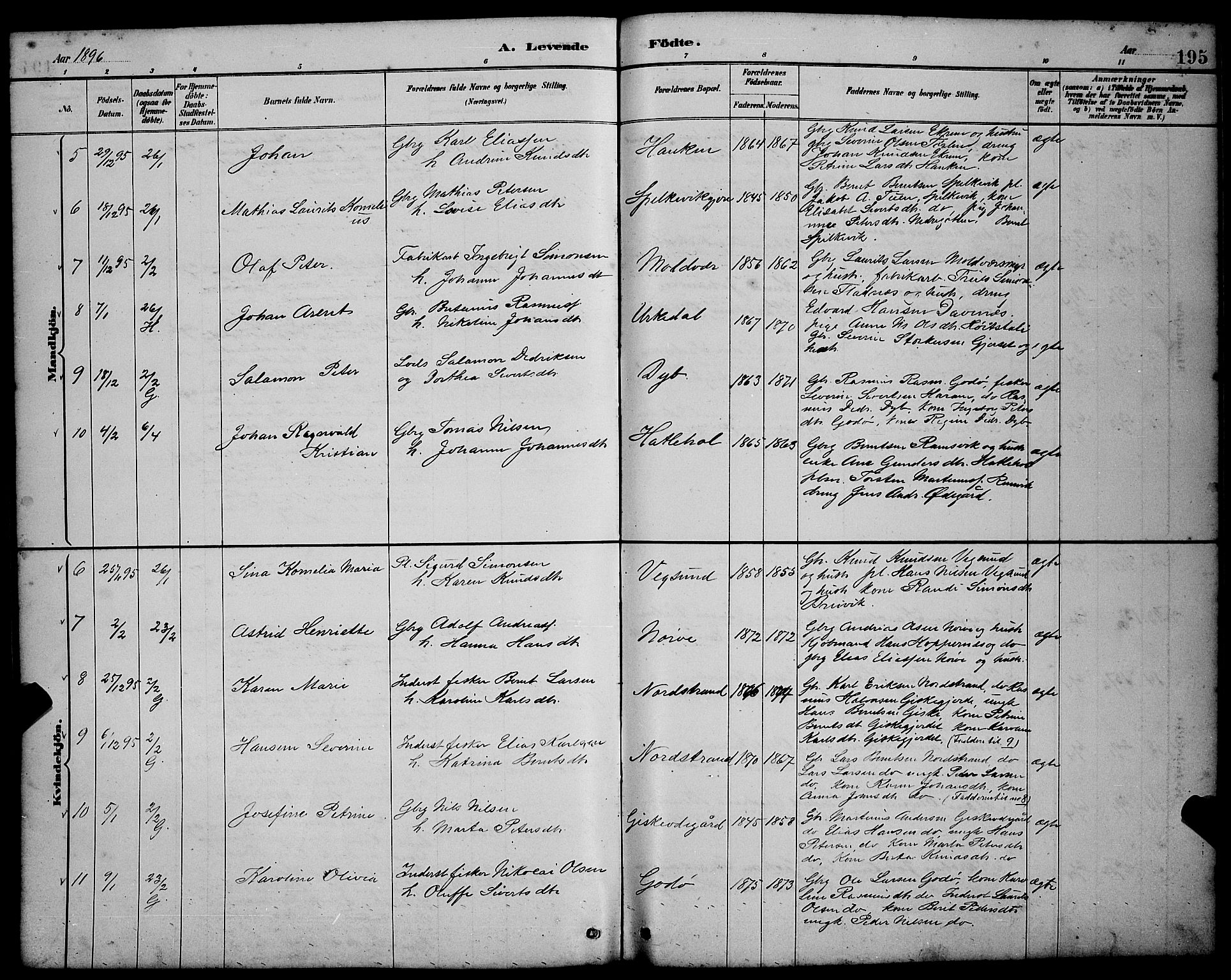 Ministerialprotokoller, klokkerbøker og fødselsregistre - Møre og Romsdal, AV/SAT-A-1454/528/L0431: Parish register (copy) no. 528C12, 1885-1898, p. 195