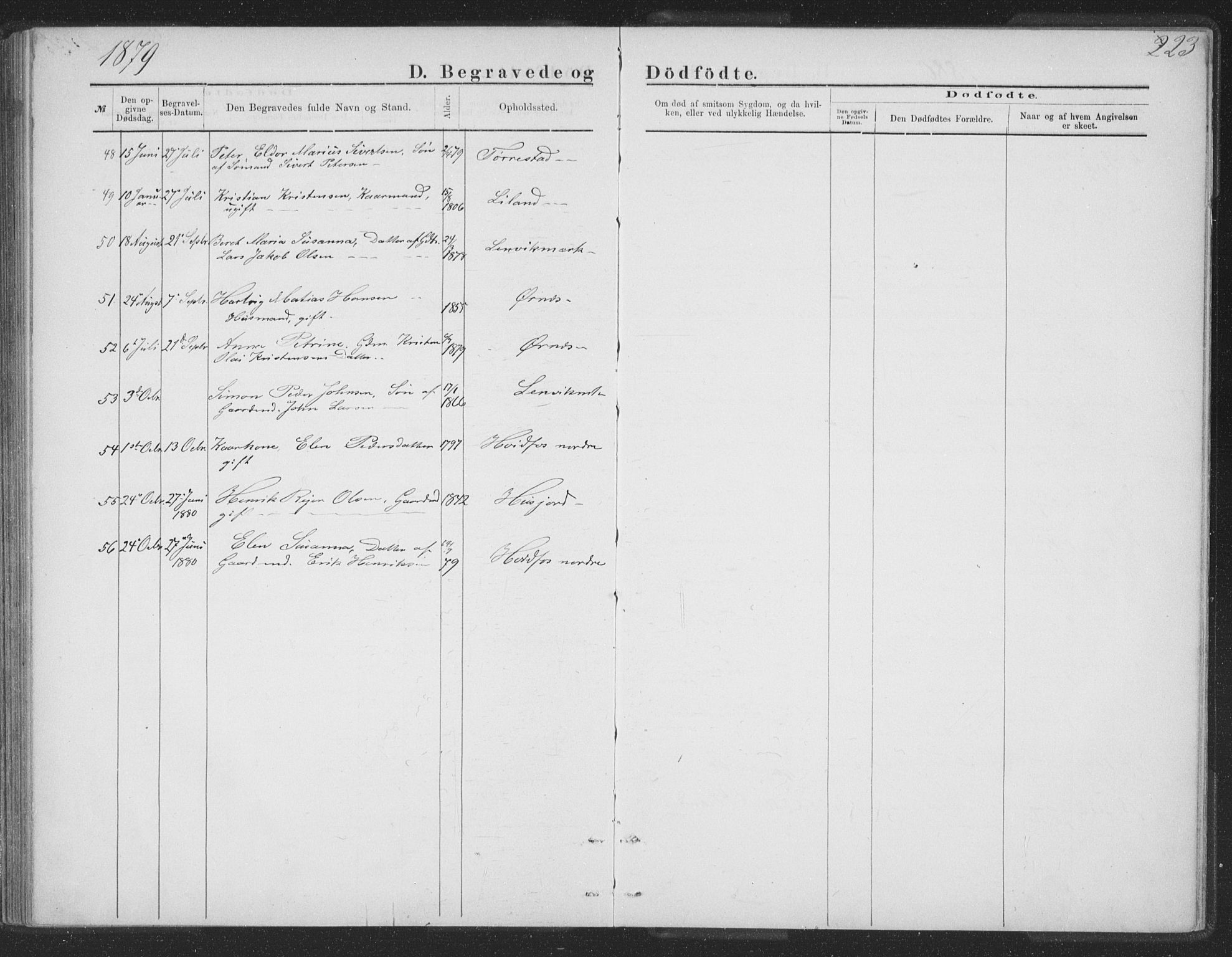 Ministerialprotokoller, klokkerbøker og fødselsregistre - Nordland, AV/SAT-A-1459/863/L0913: Parish register (copy) no. 863C03, 1877-1885, p. 223