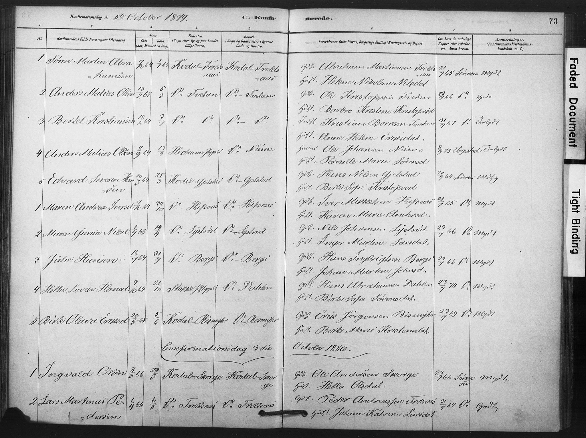 Andebu kirkebøker, AV/SAKO-A-336/F/Fa/L0008: Parish register (official) no. 8, 1878-1902, p. 73