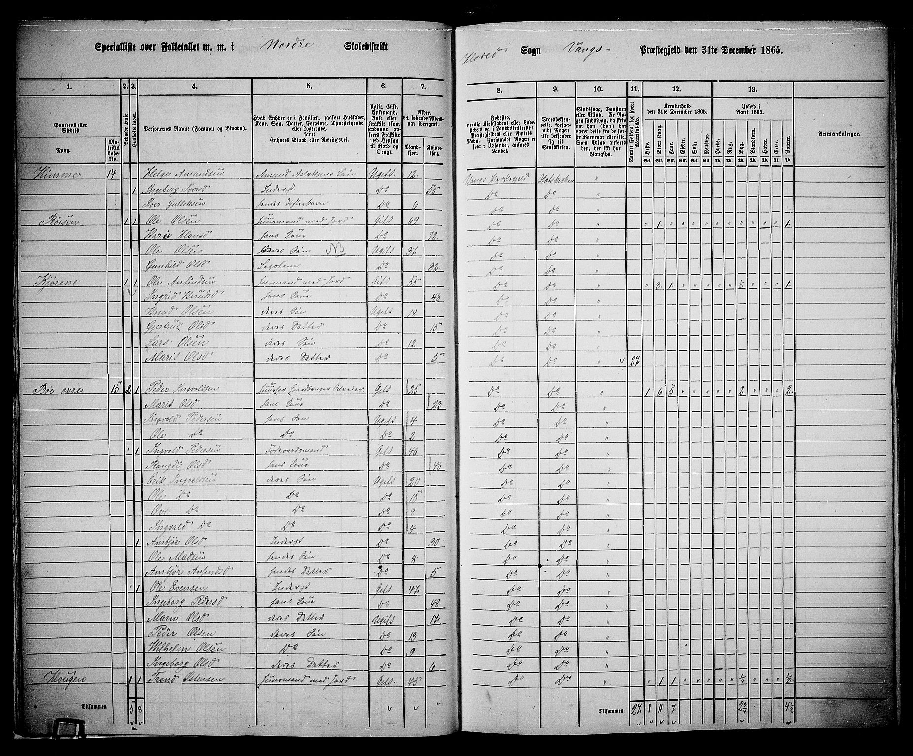 RA, 1865 census for Vang, 1865, p. 17