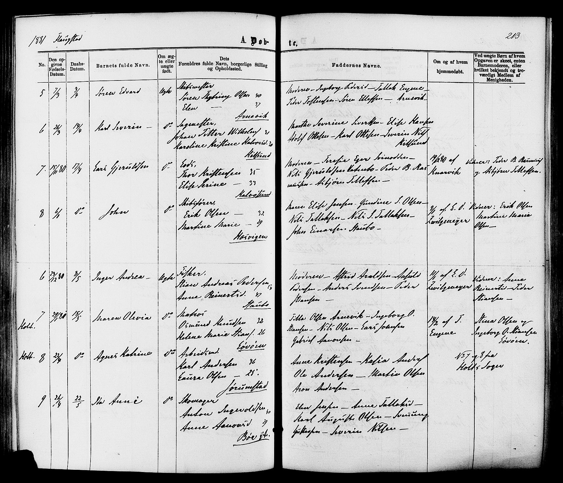 Dypvåg sokneprestkontor, AV/SAK-1111-0007/F/Fa/Faa/L0007: Parish register (official) no. A 7 /2, 1877-1884, p. 213