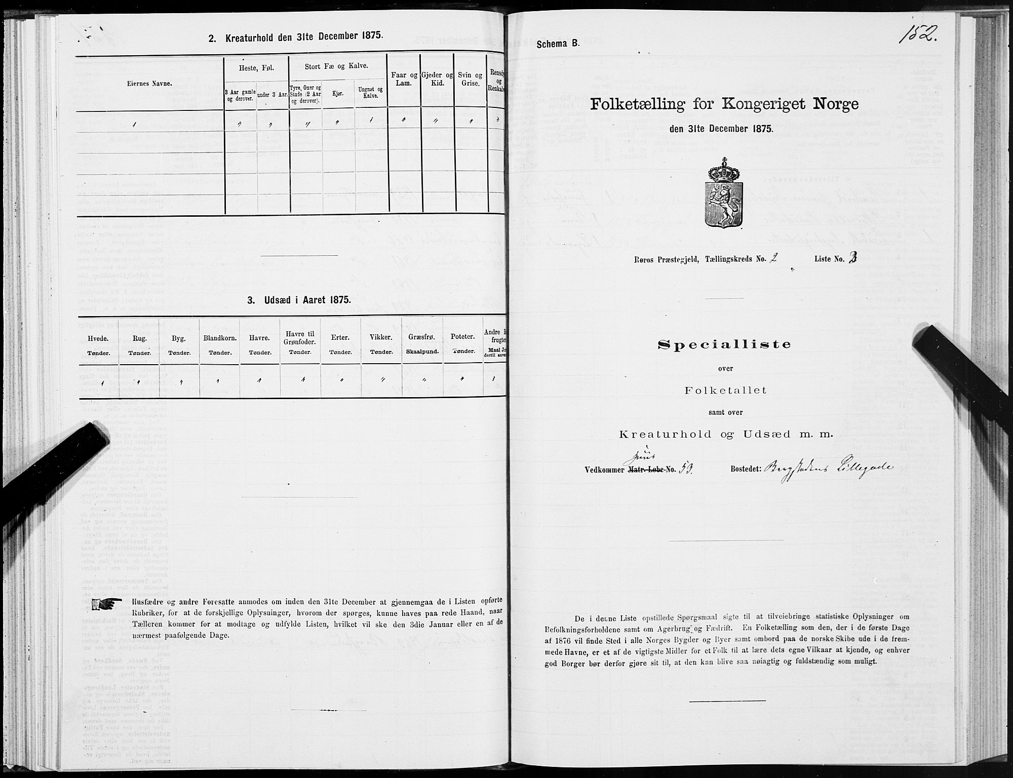 SAT, 1875 census for 1640P Røros, 1875, p. 1152