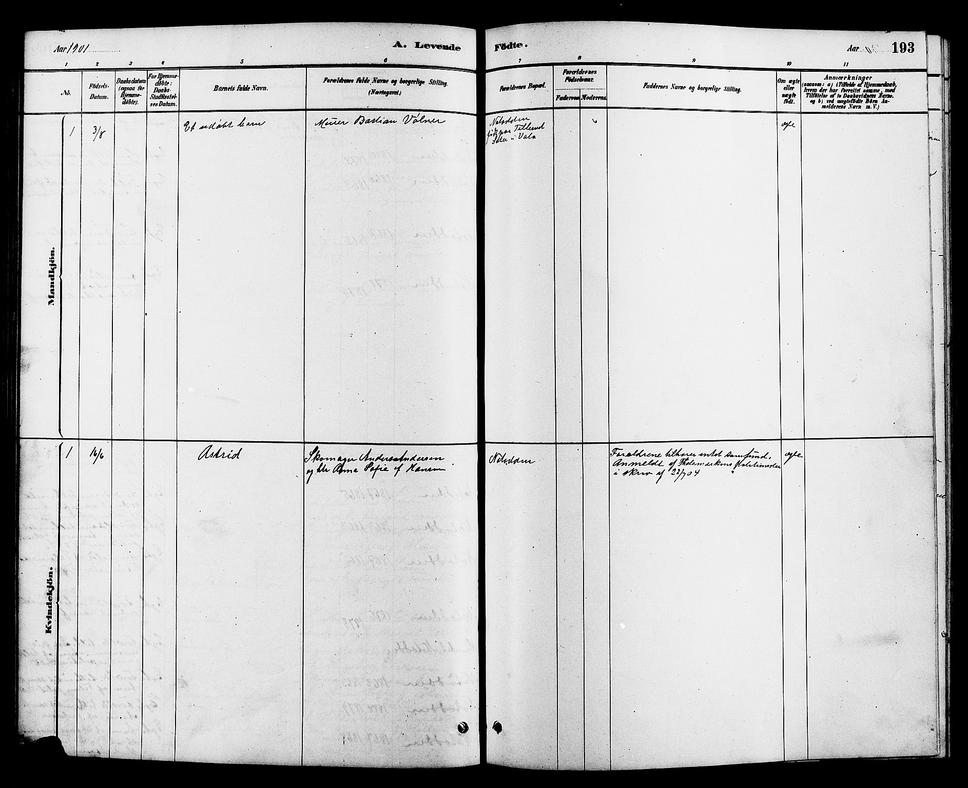 Heddal kirkebøker, AV/SAKO-A-268/G/Ga/L0002: Parish register (copy) no. I 2, 1879-1908, p. 193