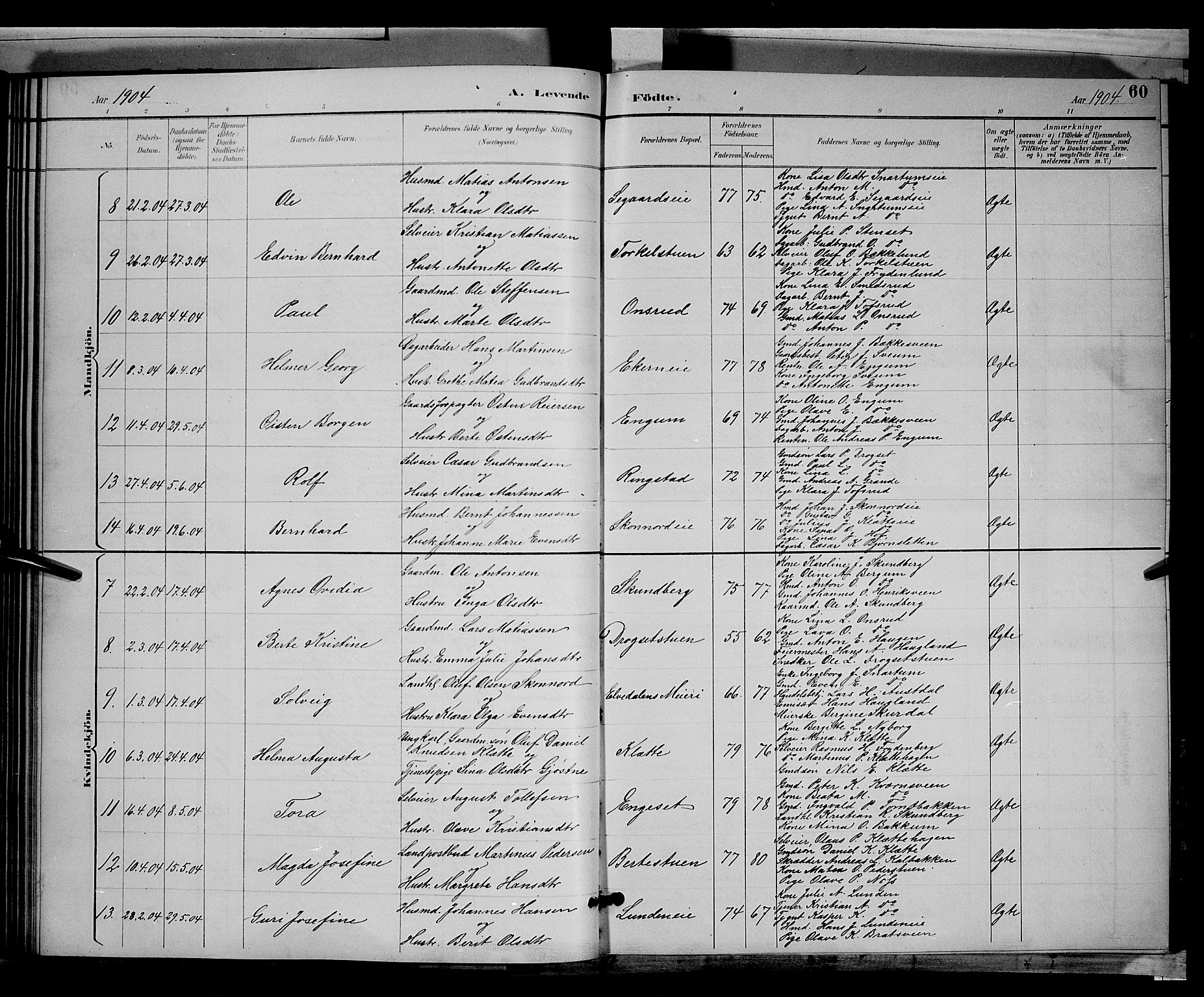 Biri prestekontor, SAH/PREST-096/H/Ha/Hab/L0003: Parish register (copy) no. 3, 1892-1905, p. 60