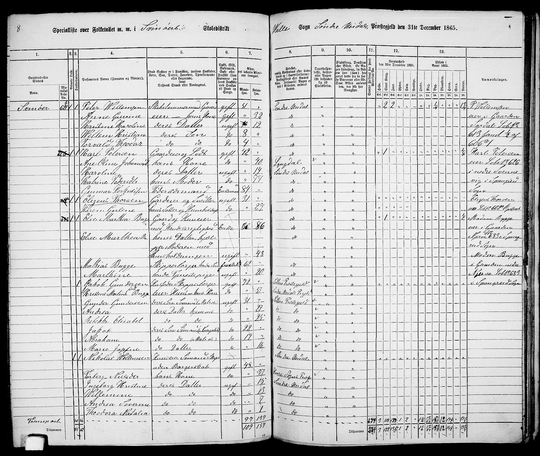 RA, 1865 census for Sør-Audnedal, 1865, p. 133