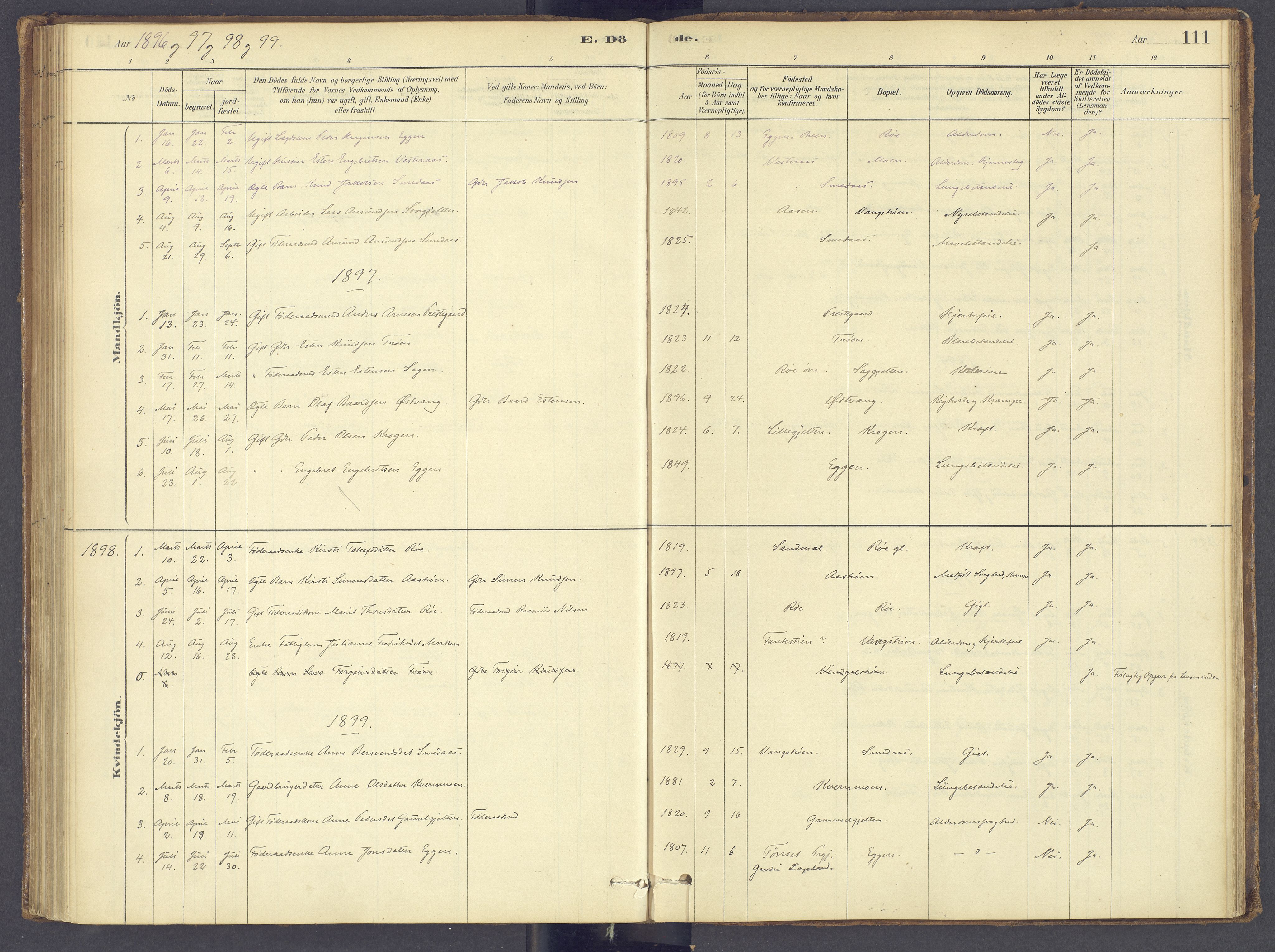 Tolga prestekontor, SAH/PREST-062/K/L0012: Parish register (official) no. 12, 1877-1925, p. 111