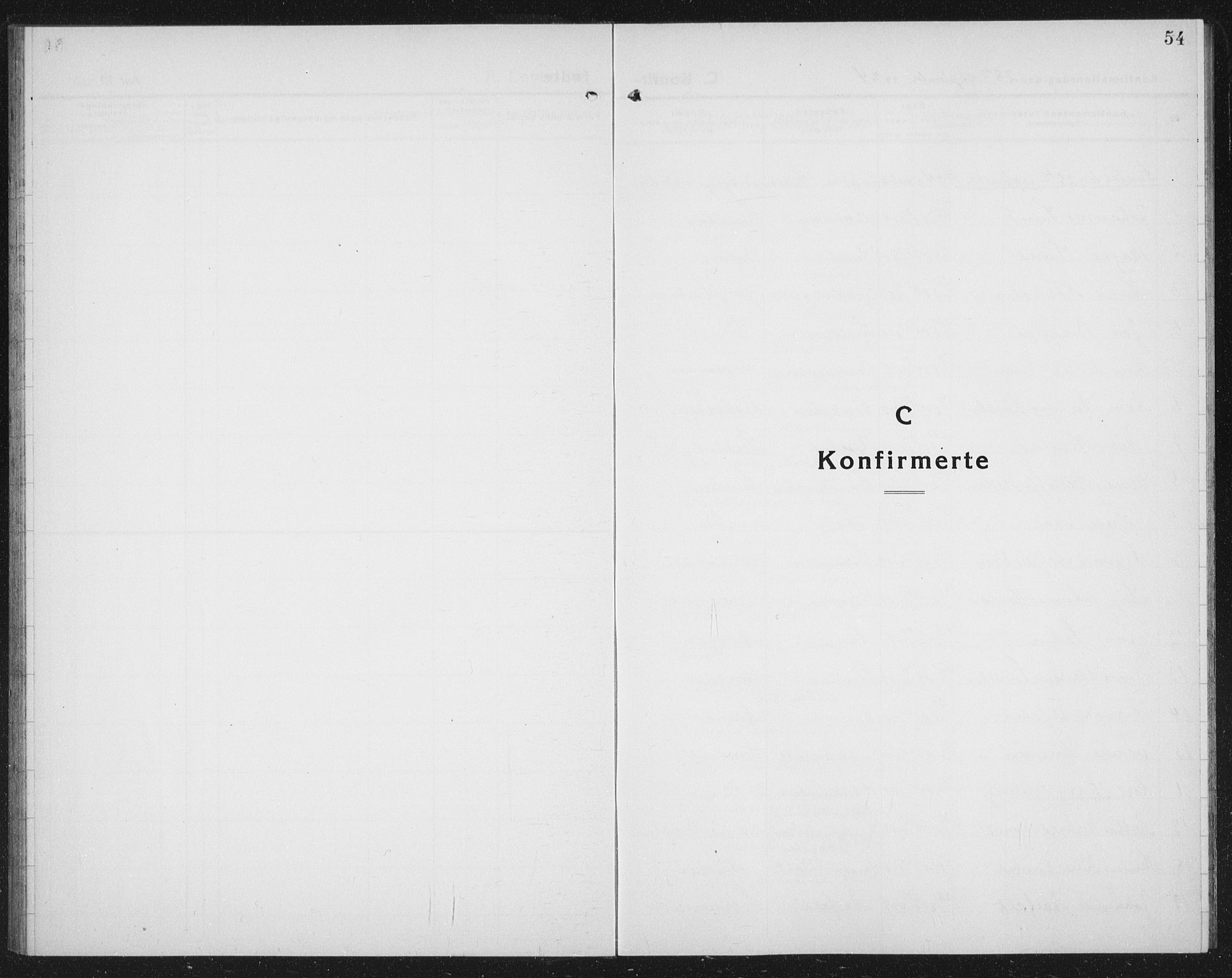 Ministerialprotokoller, klokkerbøker og fødselsregistre - Nord-Trøndelag, SAT/A-1458/730/L0303: Parish register (copy) no. 730C06, 1924-1933, p. 54