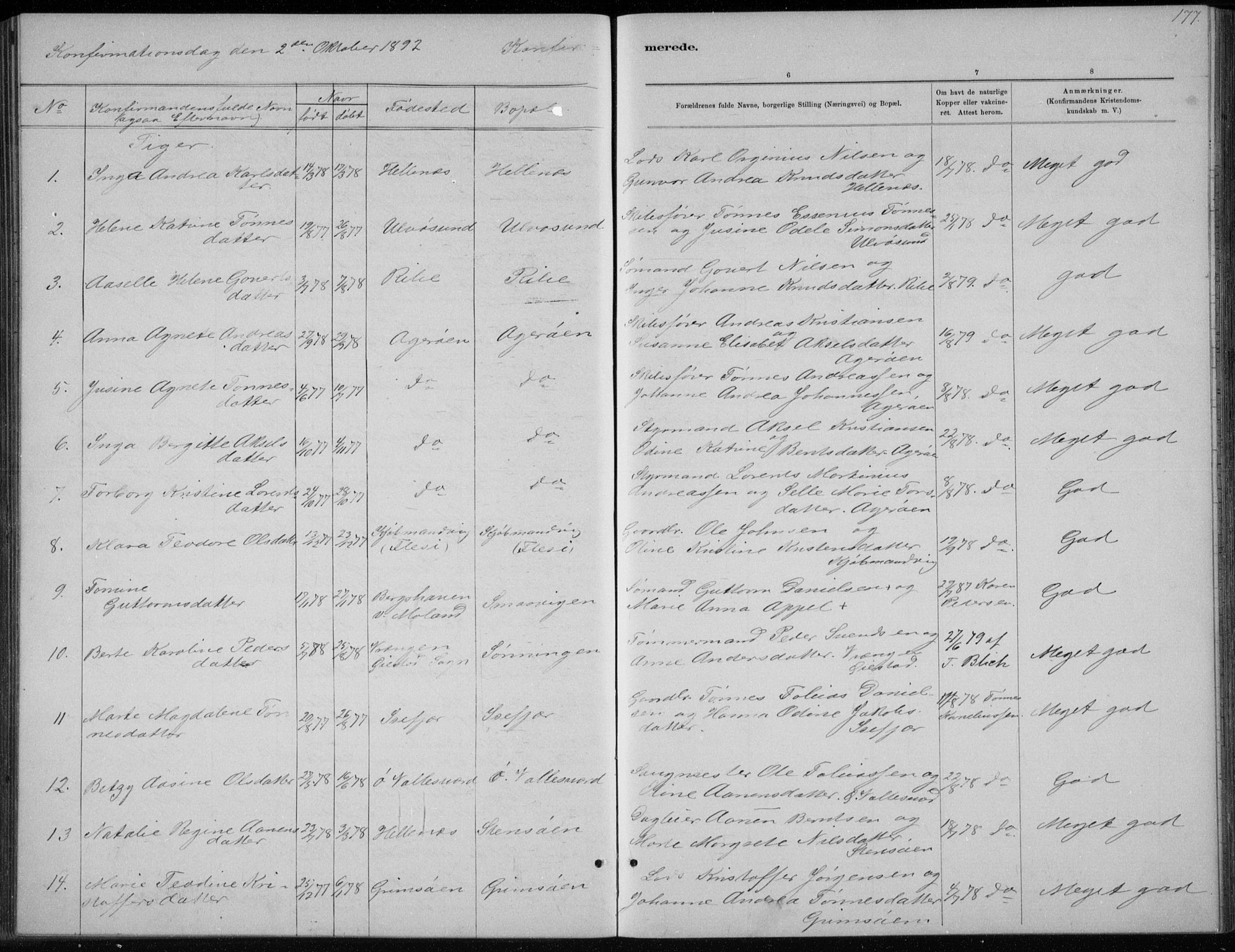 Høvåg sokneprestkontor, SAK/1111-0025/F/Fb/L0004: Parish register (copy) no. B 4, 1883-1898, p. 177