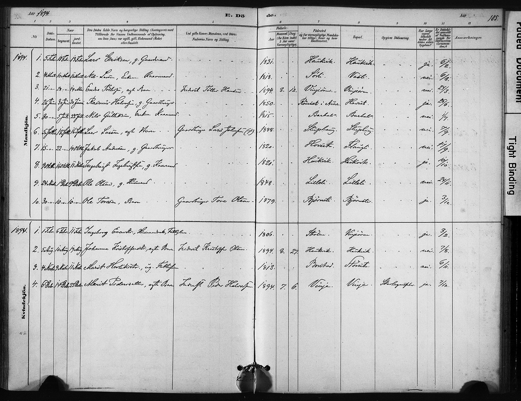 Ministerialprotokoller, klokkerbøker og fødselsregistre - Sør-Trøndelag, SAT/A-1456/631/L0512: Parish register (official) no. 631A01, 1879-1912, p. 185