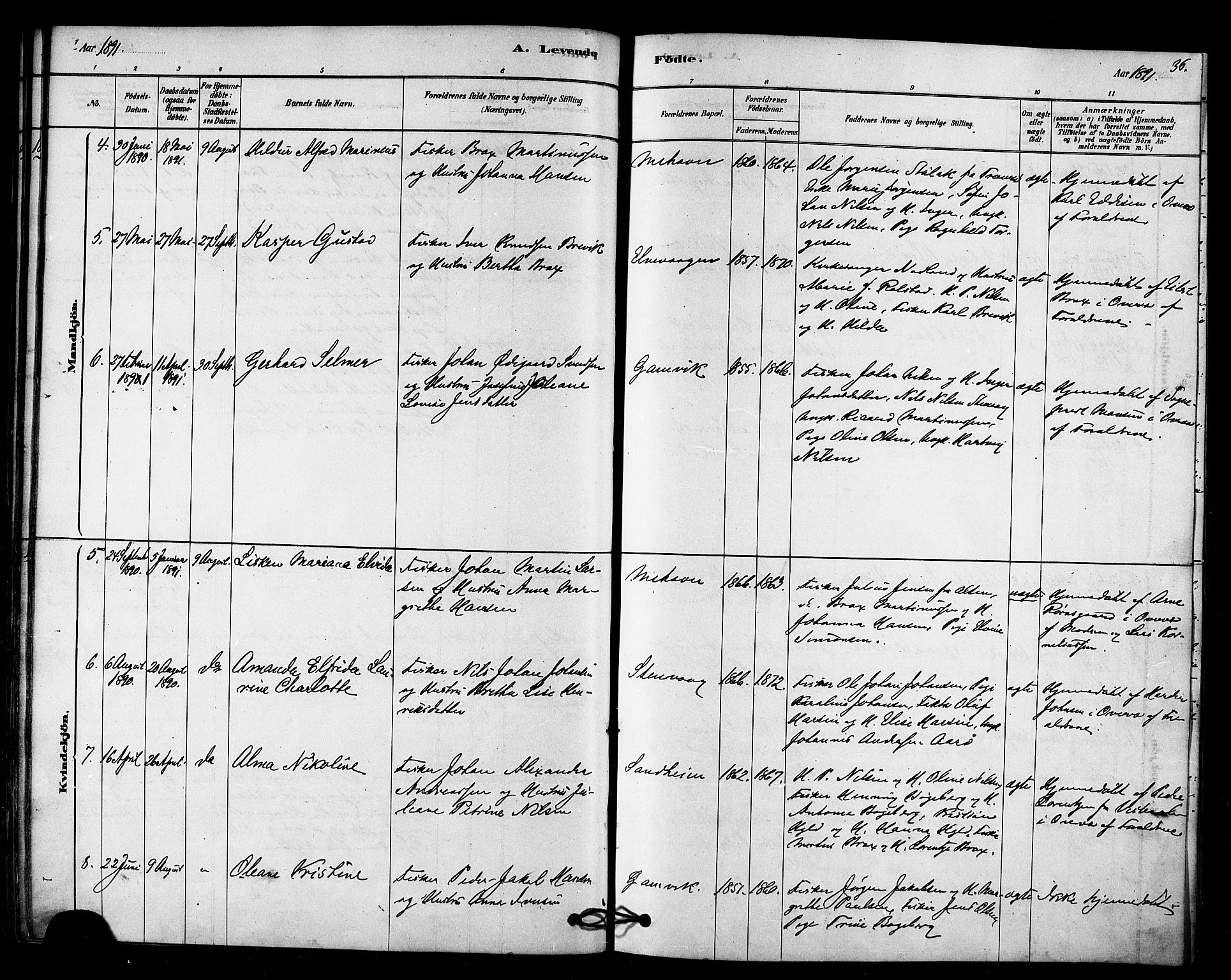 Tana sokneprestkontor, SATØ/S-1334/H/Ha/L0003kirke: Parish register (official) no. 3, 1878-1892, p. 36