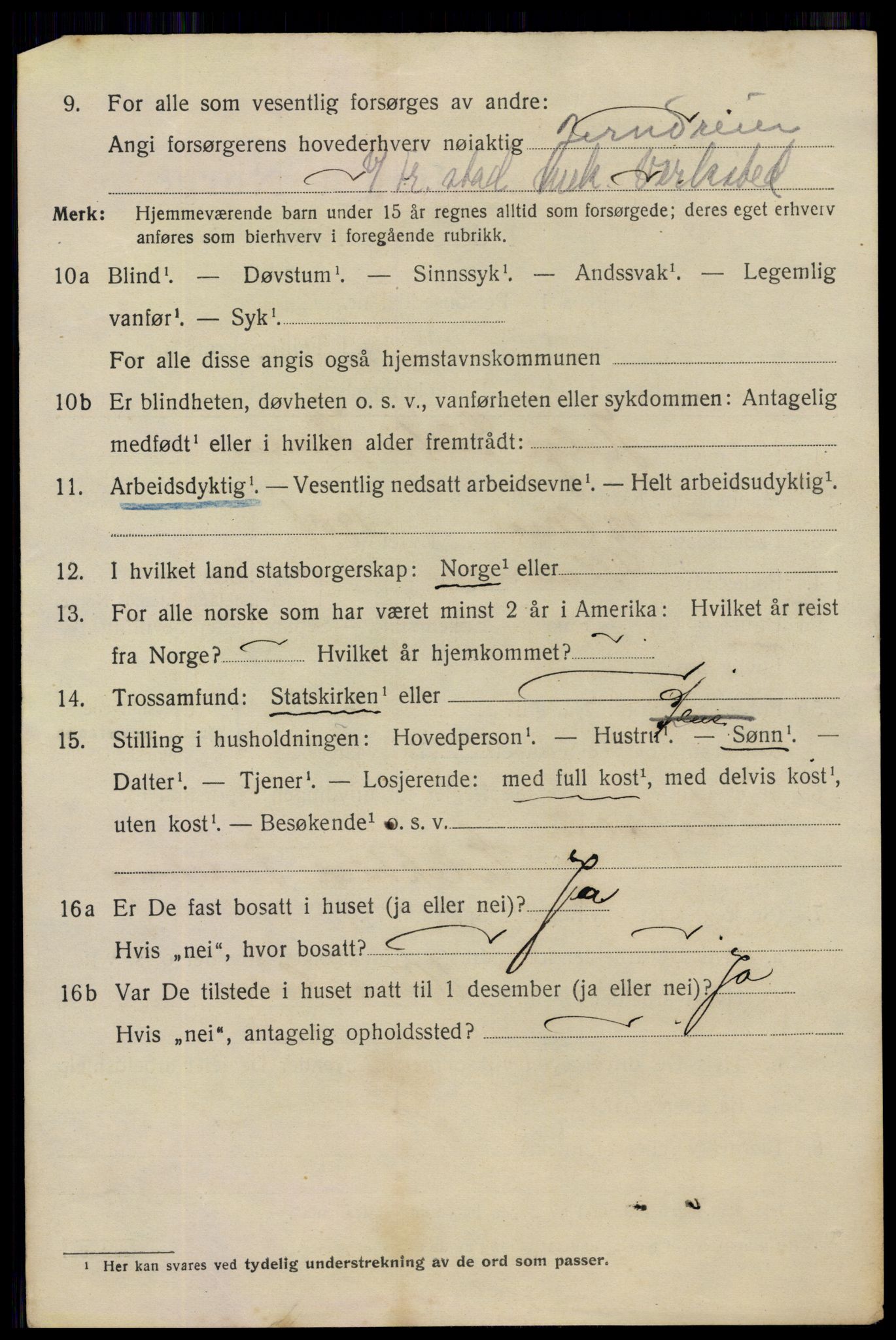 SAO, 1920 census for Fredrikstad, 1920, p. 40732