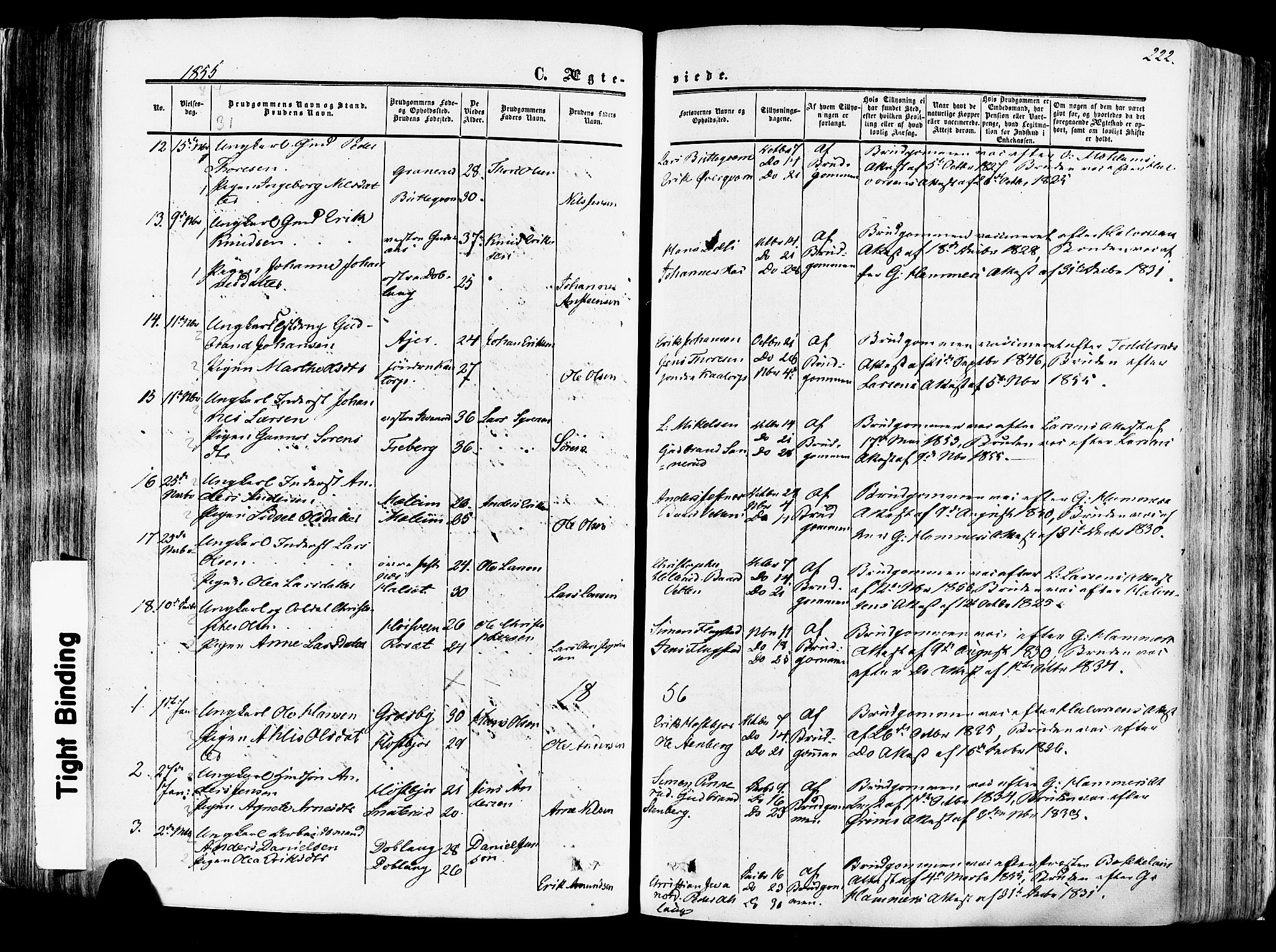 Vang prestekontor, Hedmark, SAH/PREST-008/H/Ha/Haa/L0013: Parish register (official) no. 13, 1855-1879, p. 222