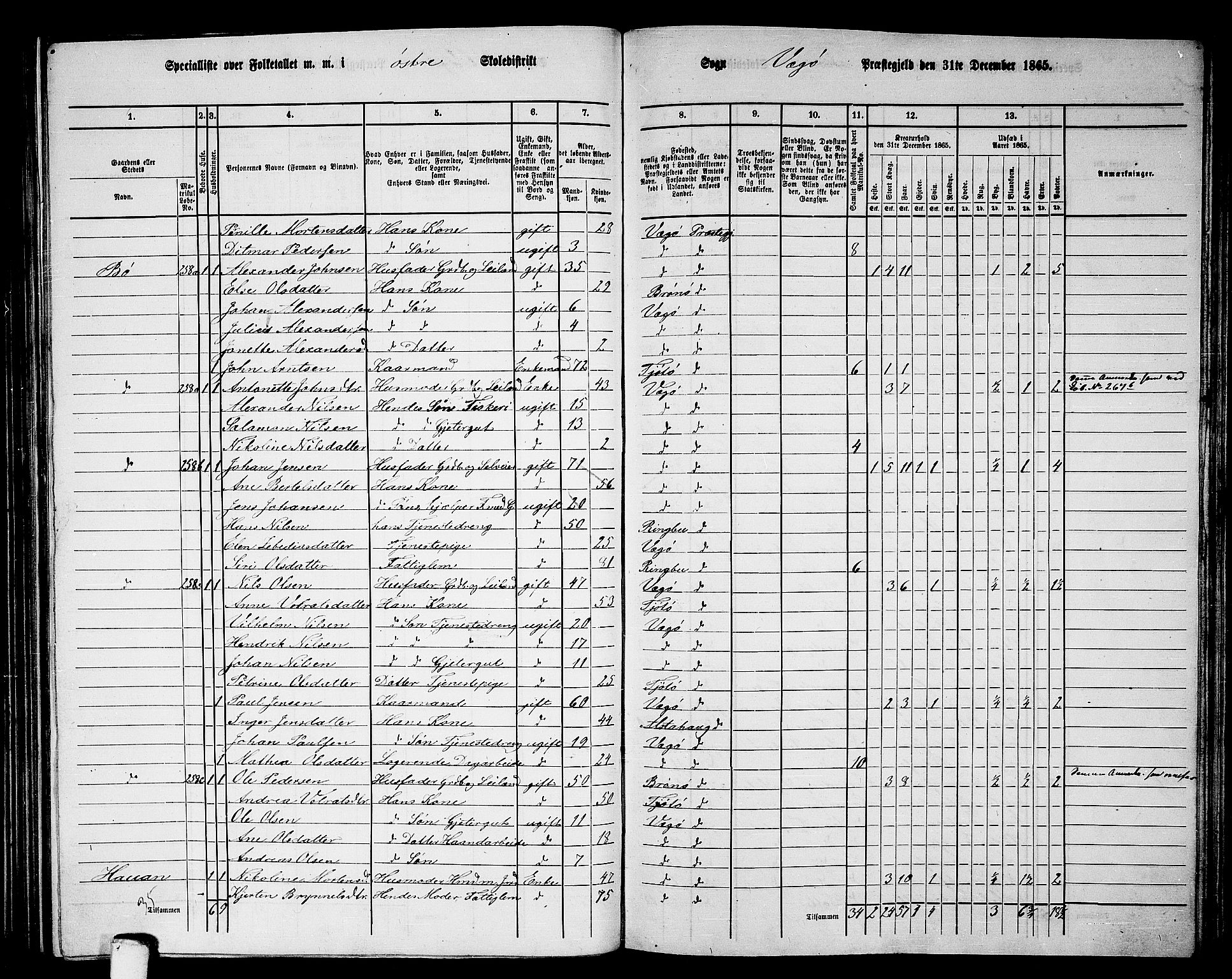 RA, 1865 census for Vega, 1865, p. 10