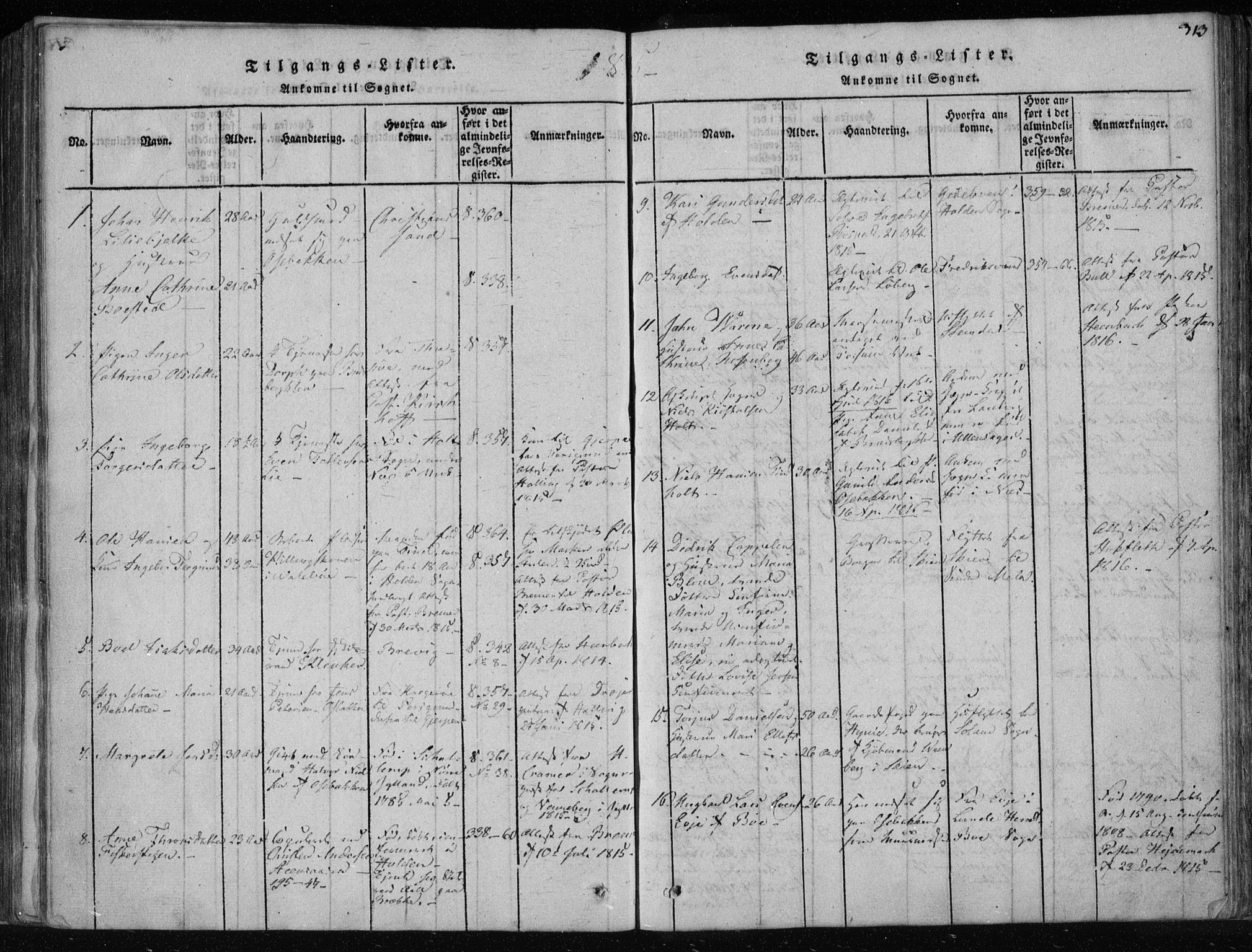 Gjerpen kirkebøker, SAKO/A-265/F/Fa/L0004: Parish register (official) no. I 4, 1814-1823, p. 313