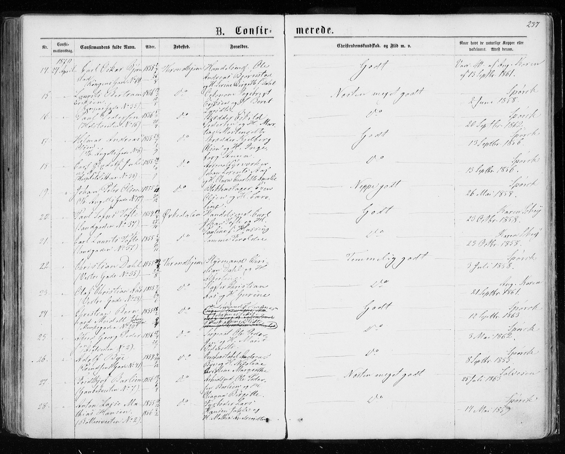 Ministerialprotokoller, klokkerbøker og fødselsregistre - Sør-Trøndelag, AV/SAT-A-1456/601/L0054: Parish register (official) no. 601A22, 1866-1877, p. 237