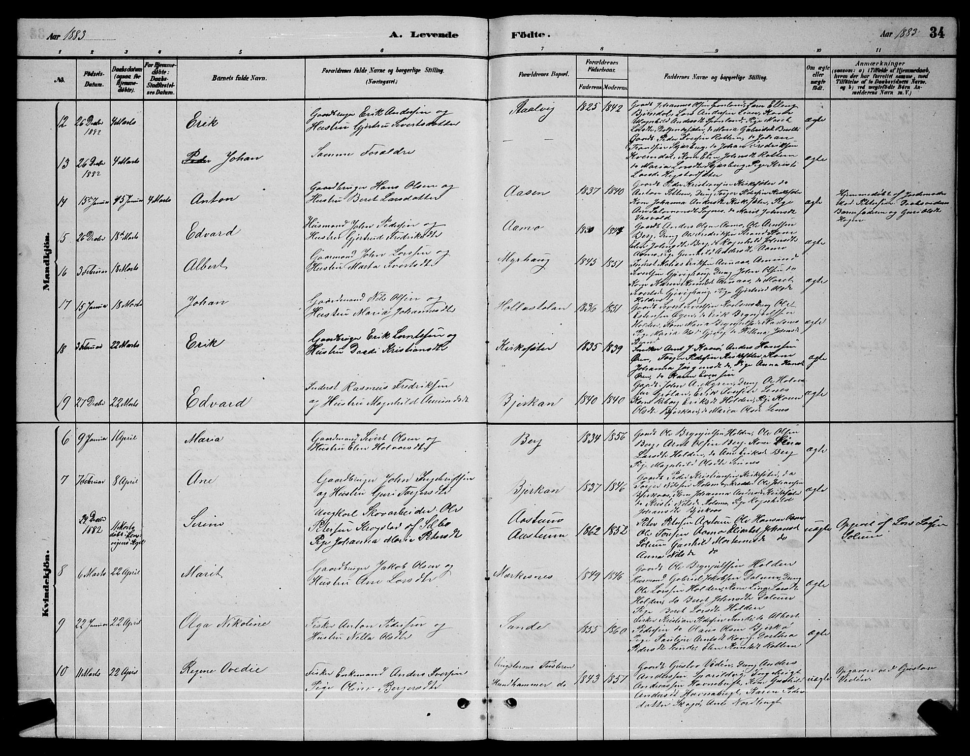 Ministerialprotokoller, klokkerbøker og fødselsregistre - Sør-Trøndelag, AV/SAT-A-1456/630/L0504: Parish register (copy) no. 630C02, 1879-1898, p. 34