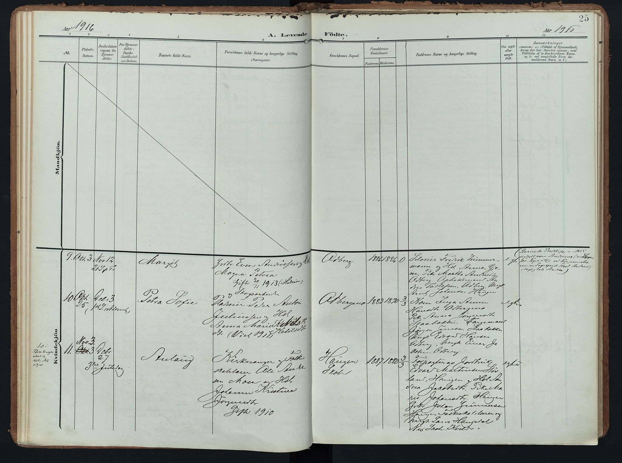 Hedrum kirkebøker, AV/SAKO-A-344/F/Fc/L0002: Parish register (official) no. III 2, 1907-1930, p. 25
