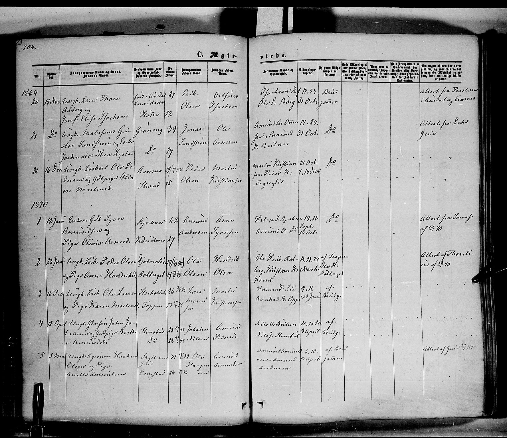 Hof prestekontor, AV/SAH-PREST-038/H/Ha/Haa/L0009: Parish register (official) no. 9, 1862-1877, p. 204