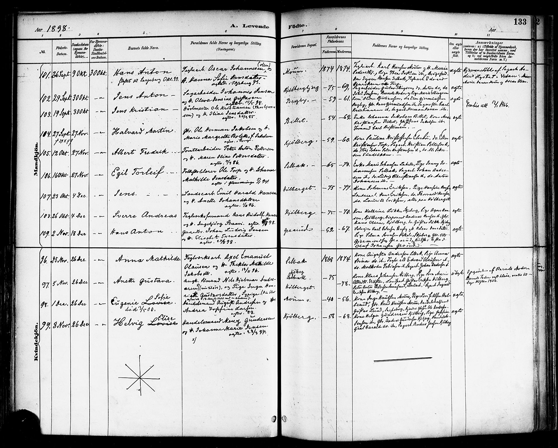 Borge prestekontor Kirkebøker, SAO/A-10903/F/Fa/L0008: Parish register (official) no. I 8A, 1887-1902, p. 133
