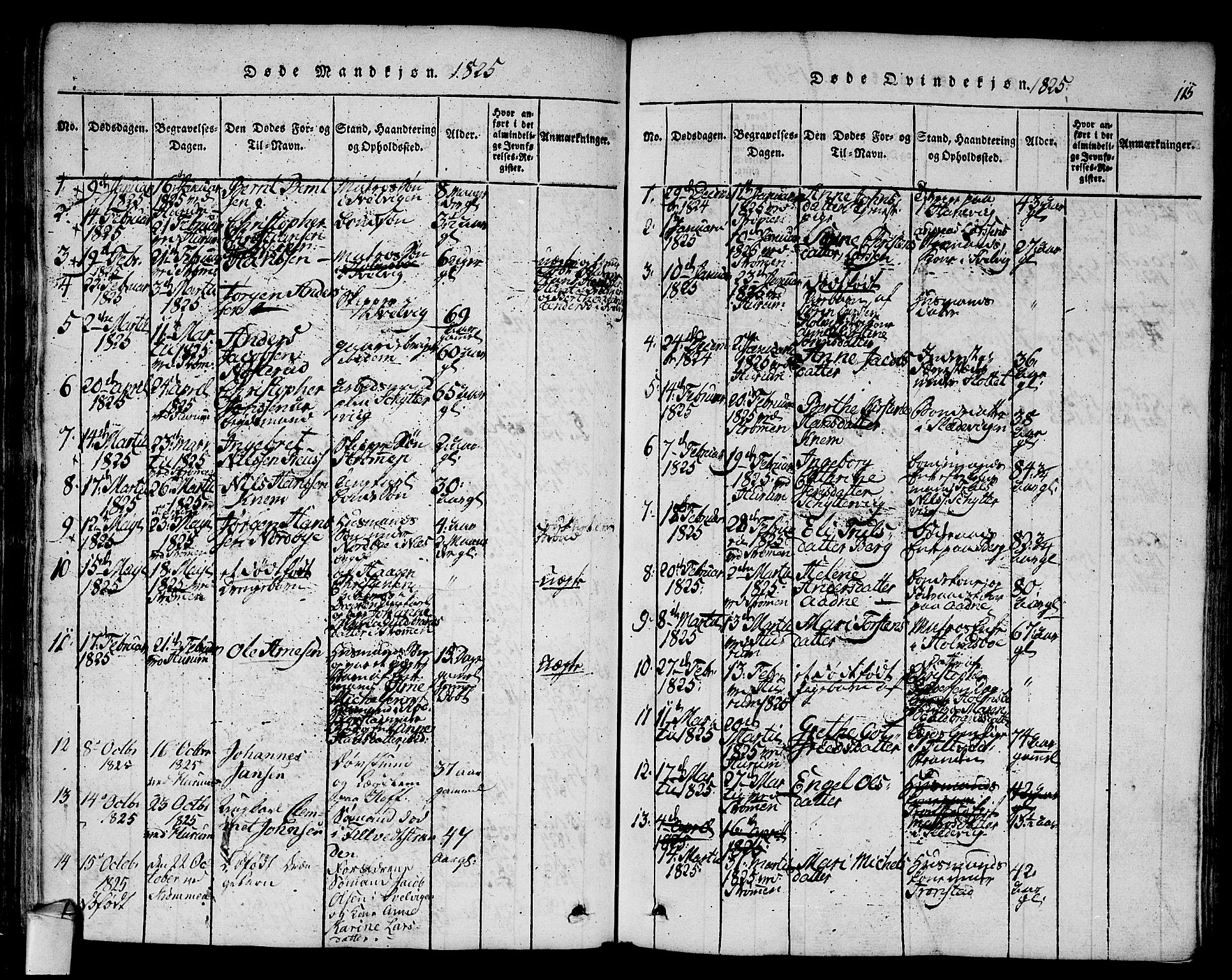 Hurum kirkebøker, SAKO/A-229/F/Fa/L0009: Parish register (official) no. 9, 1816-1826, p. 115