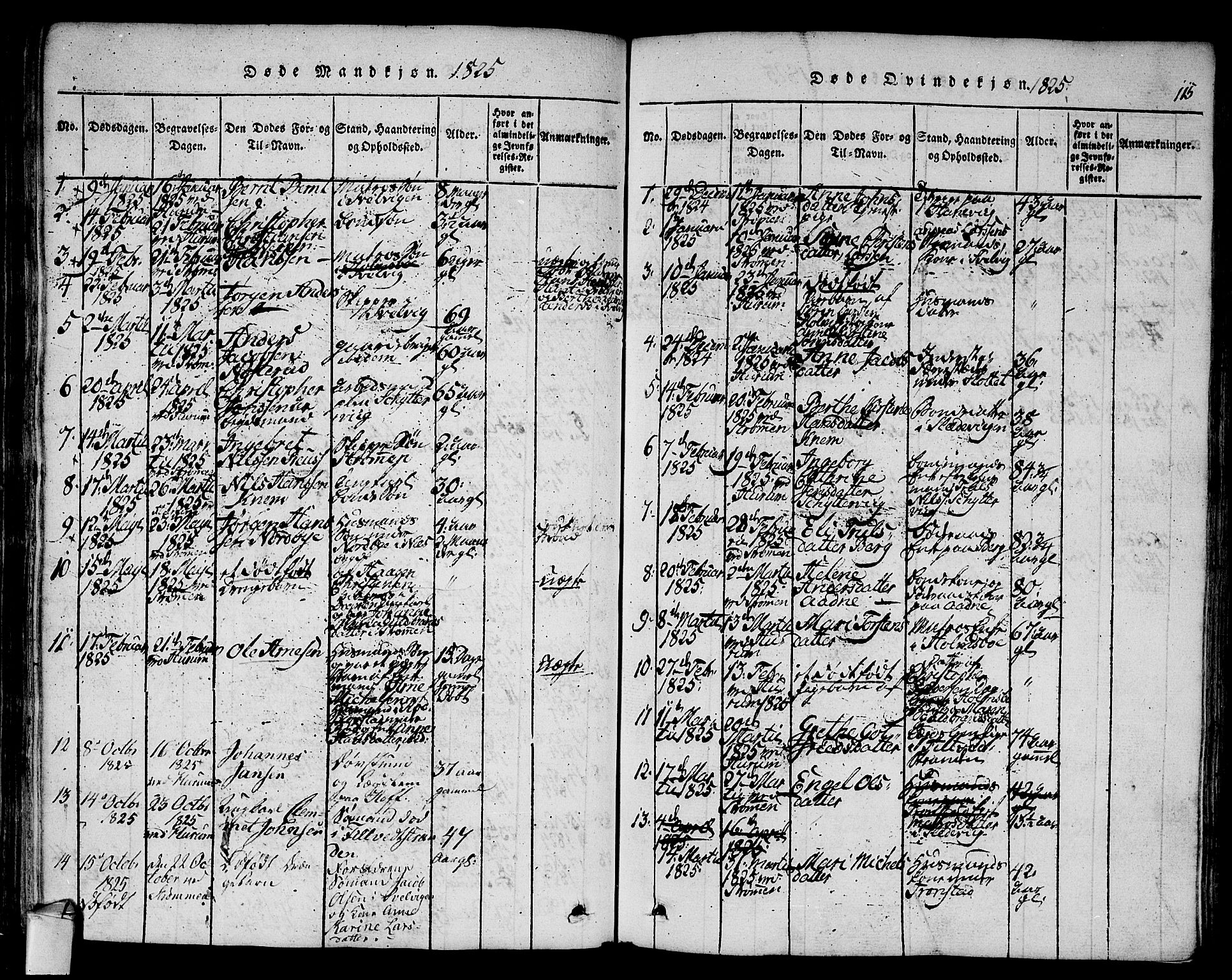 Hurum kirkebøker, AV/SAKO-A-229/F/Fa/L0009: Parish register (official) no. 9, 1816-1826, p. 115