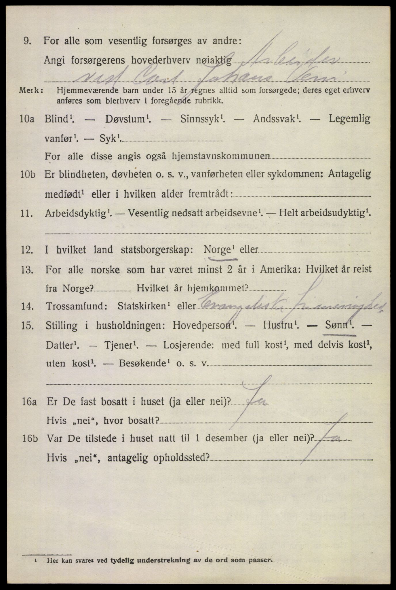 SAKO, 1920 census for Borre, 1920, p. 6213