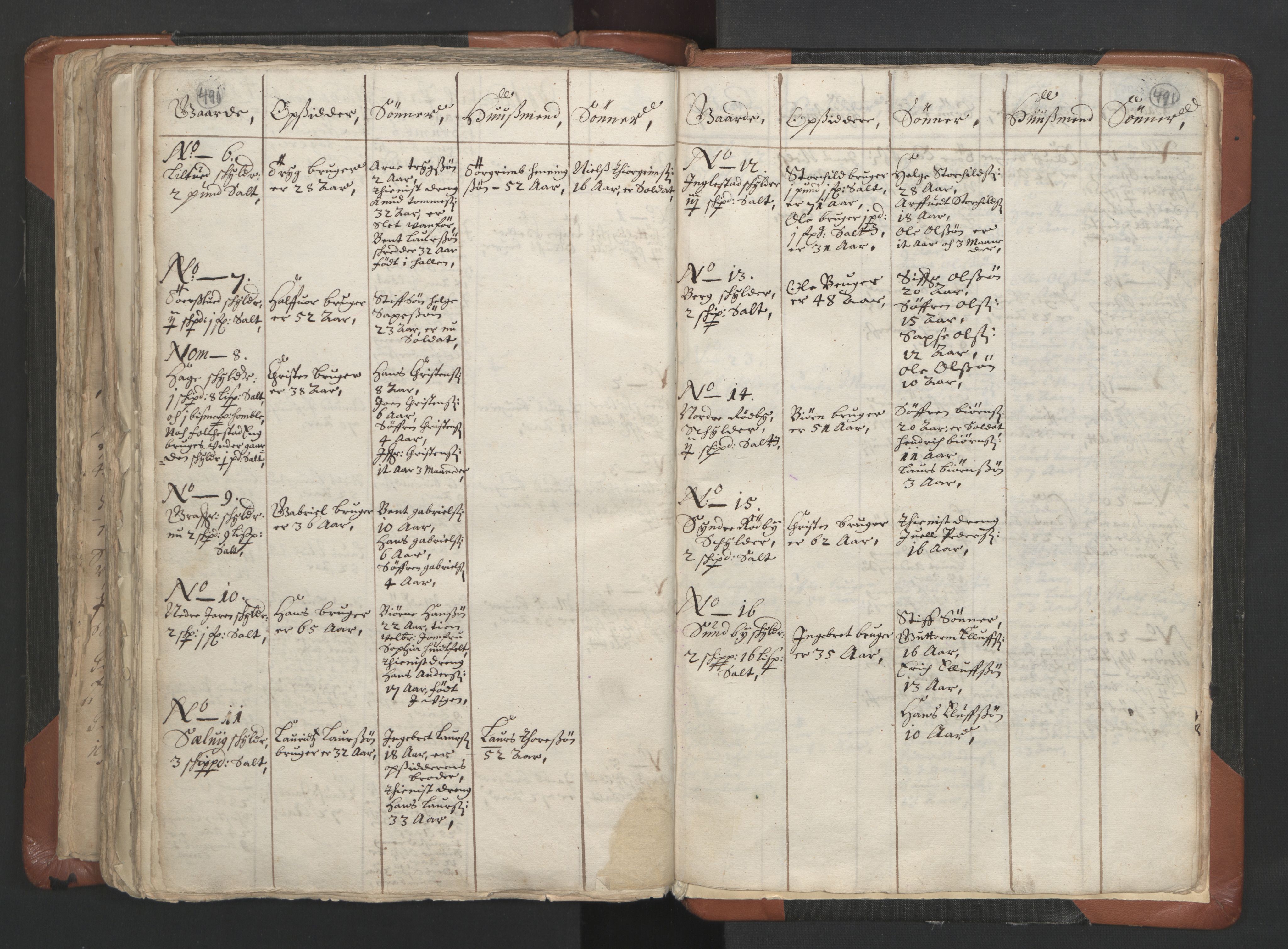 RA, Vicar's Census 1664-1666, no. 9: Bragernes deanery, 1664-1666, p. 490-491