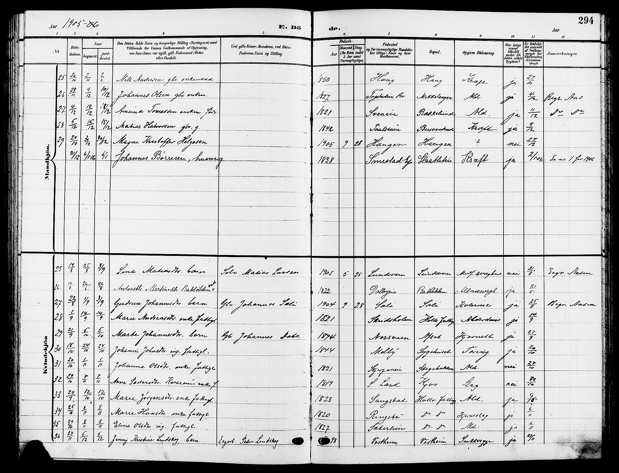 Ringsaker prestekontor, AV/SAH-PREST-014/L/La/L0015: Parish register (copy) no. 15, 1903-1912, p. 294