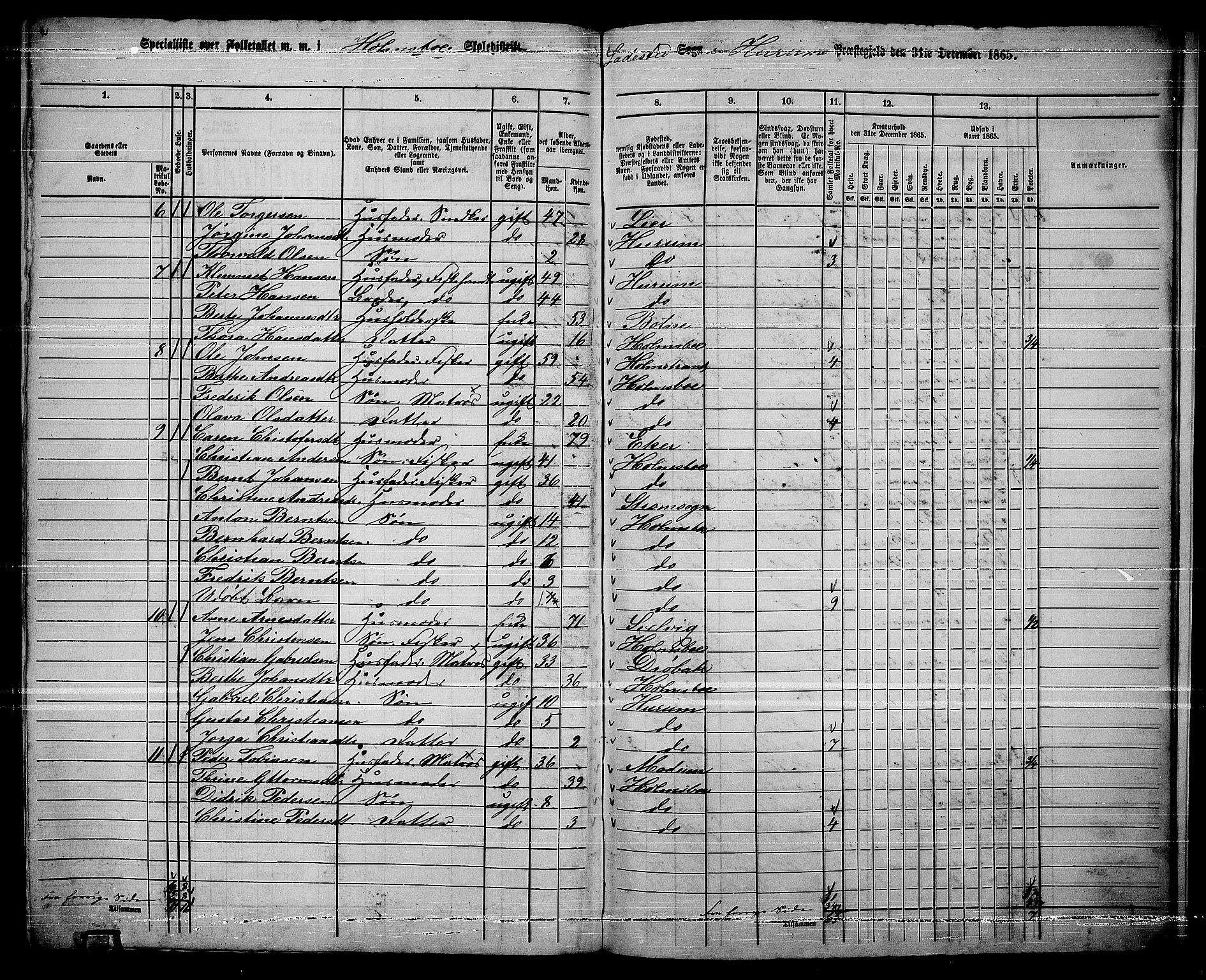 RA, 1865 census for Hurum, 1865, p. 108