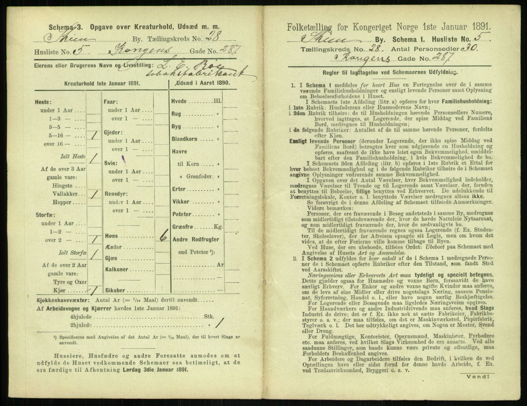 RA, 1891 census for 0806 Skien, 1891, p. 1046