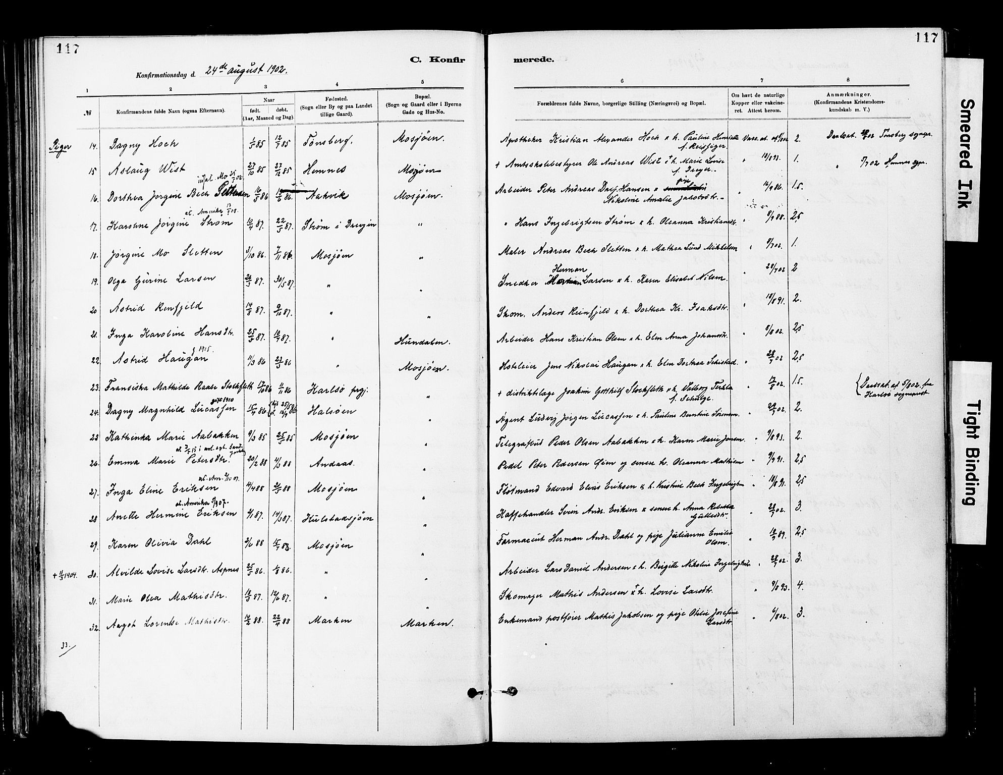 Ministerialprotokoller, klokkerbøker og fødselsregistre - Nordland, SAT/A-1459/820/L0296: Parish register (official) no. 820A17, 1880-1903, p. 117